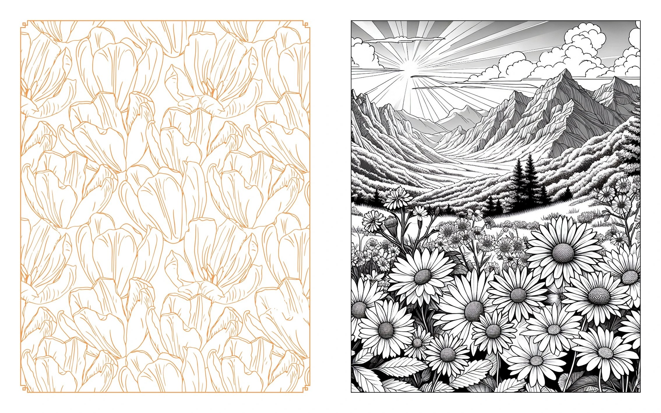 4 Wildflowers in Bloom Colouring Book, 4 of 4