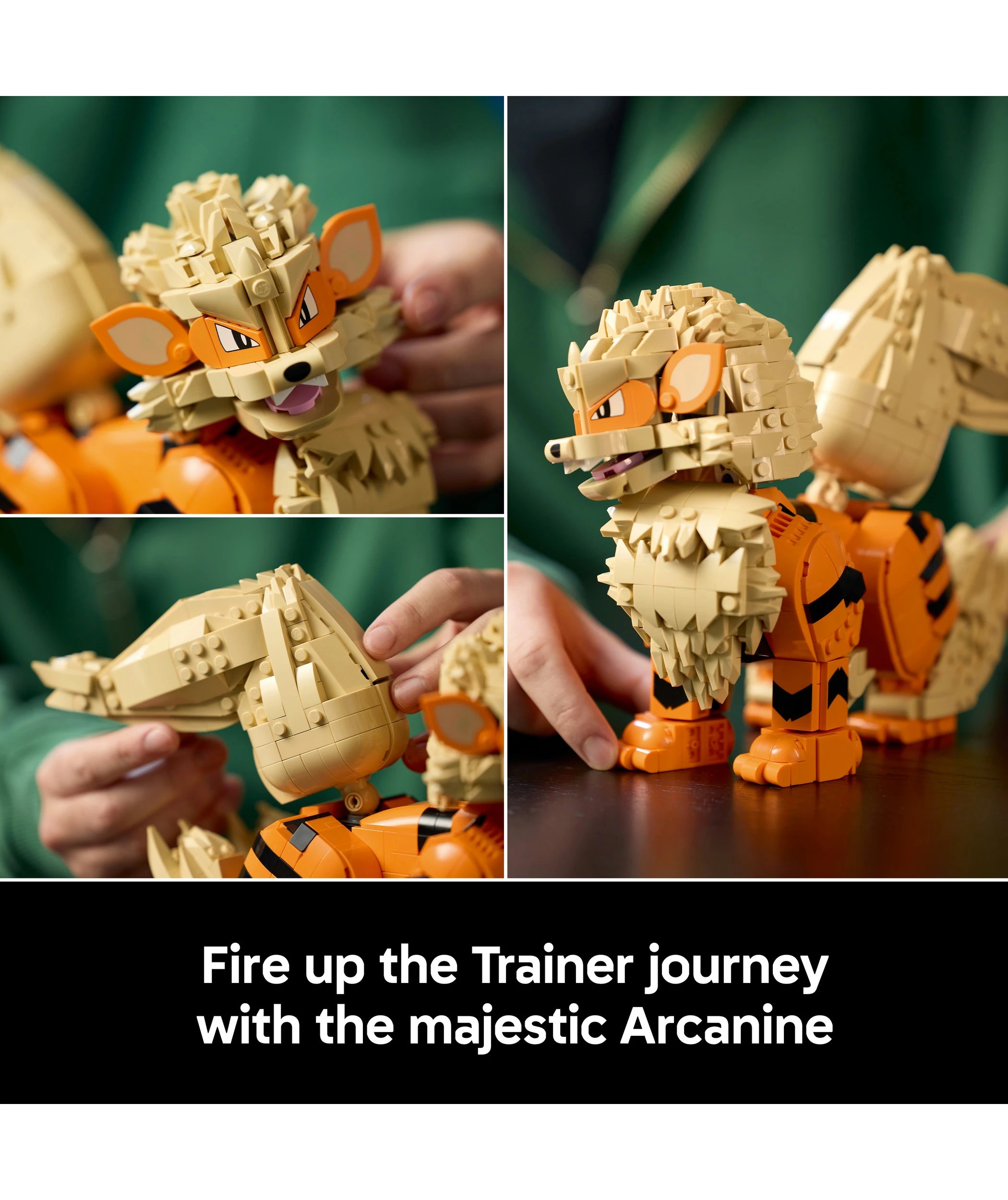 5 LEGO Pokemon Arcanine 72160, 5 of 10