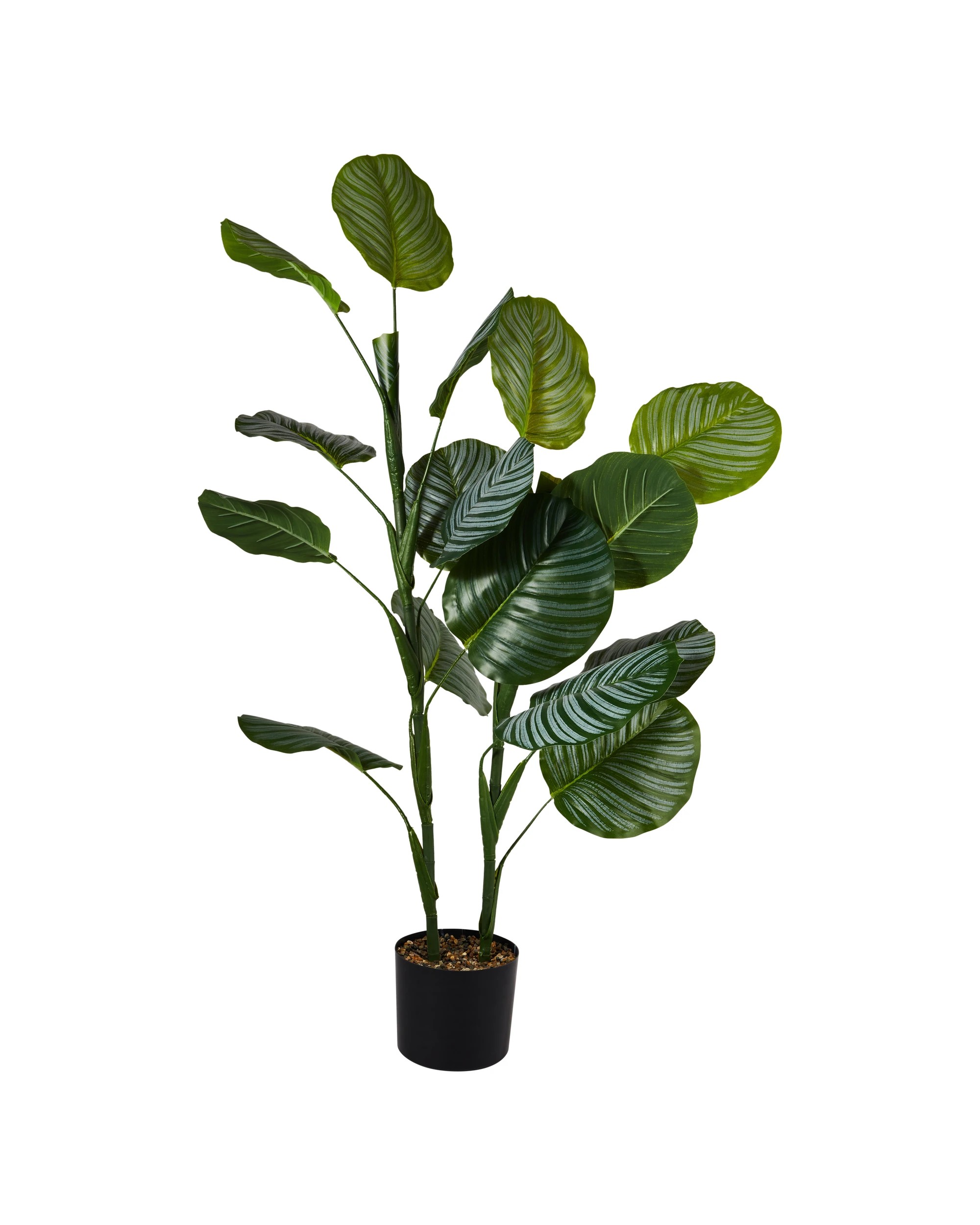 1 Artificial Calathea Plant in Pot, 1 of 3