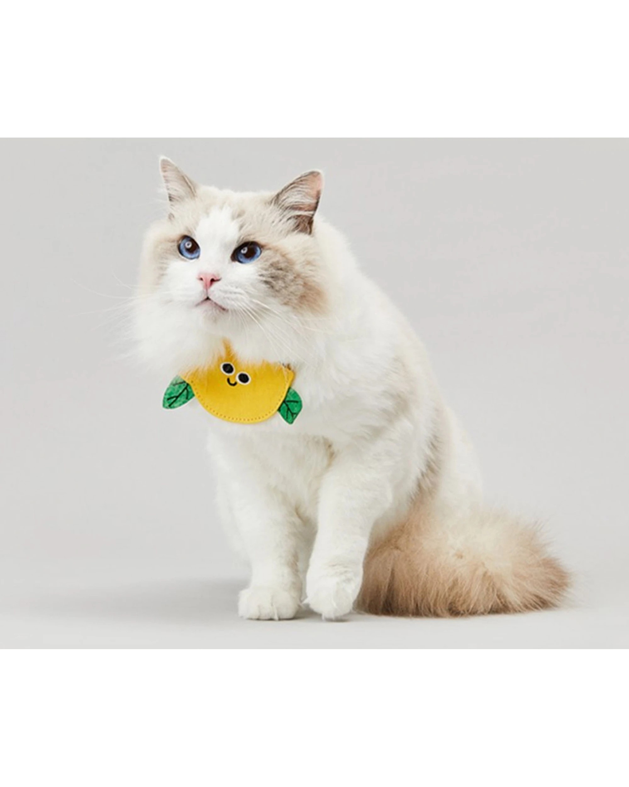 4 Petkit Pet Saliva Towel Collar - Chicken Adjustable Bite And Scratch Resistant - Multi, 4 of 6