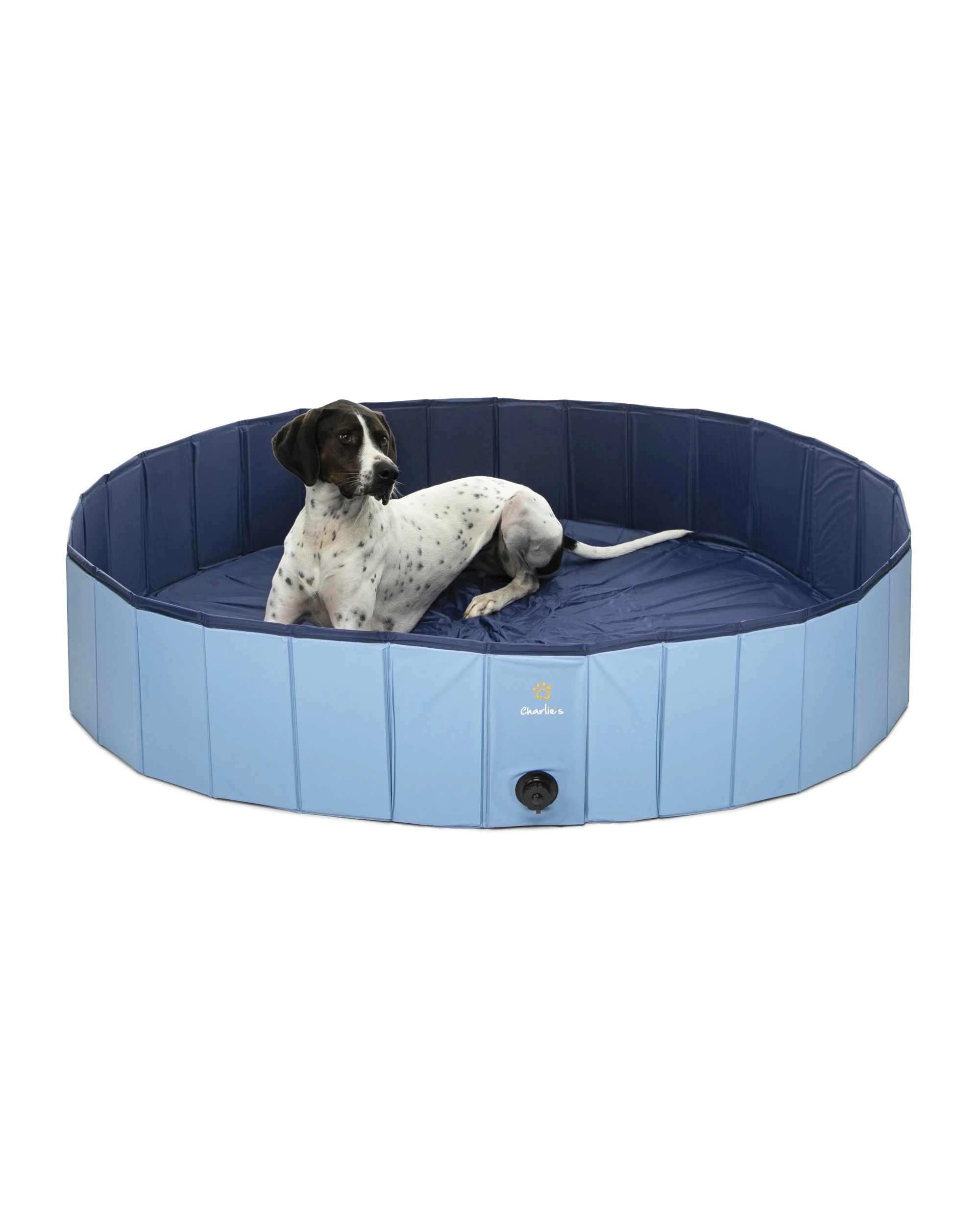 3 Charlie's Portable Summer Dog Pool Extra Large - Blue, 3 of 5