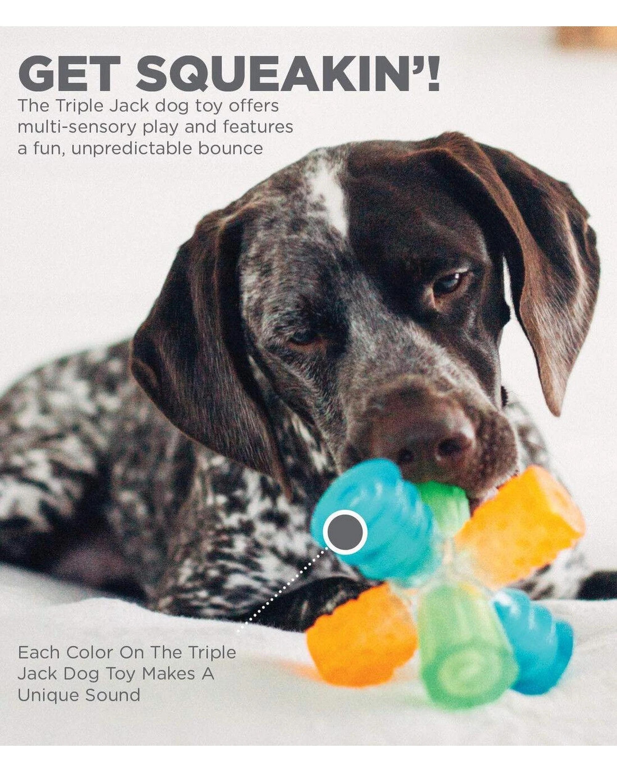 5 Outward Hound Dog Triple Jack Interactive Play Dog Squeaker Toy, 5 of 6