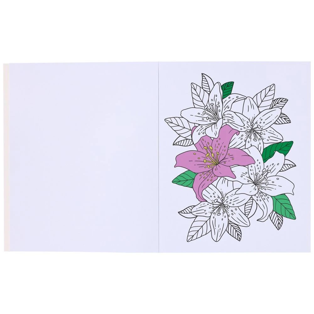 3 Studymate Colouring Book Bloom From Within 40 Pages, 3 of 3