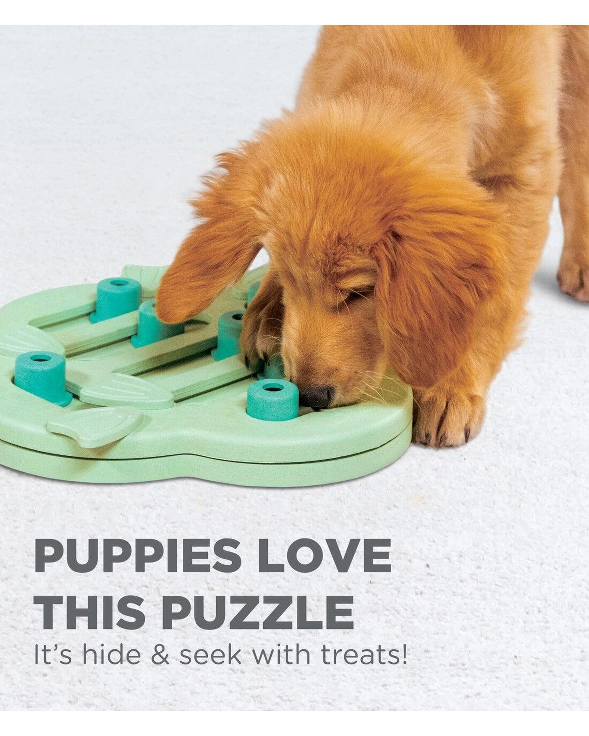 6 Outward Hound Nina Ottosson Puppy Hide N Slide Treat Dispenser Dog Toy Green, 6 of 8