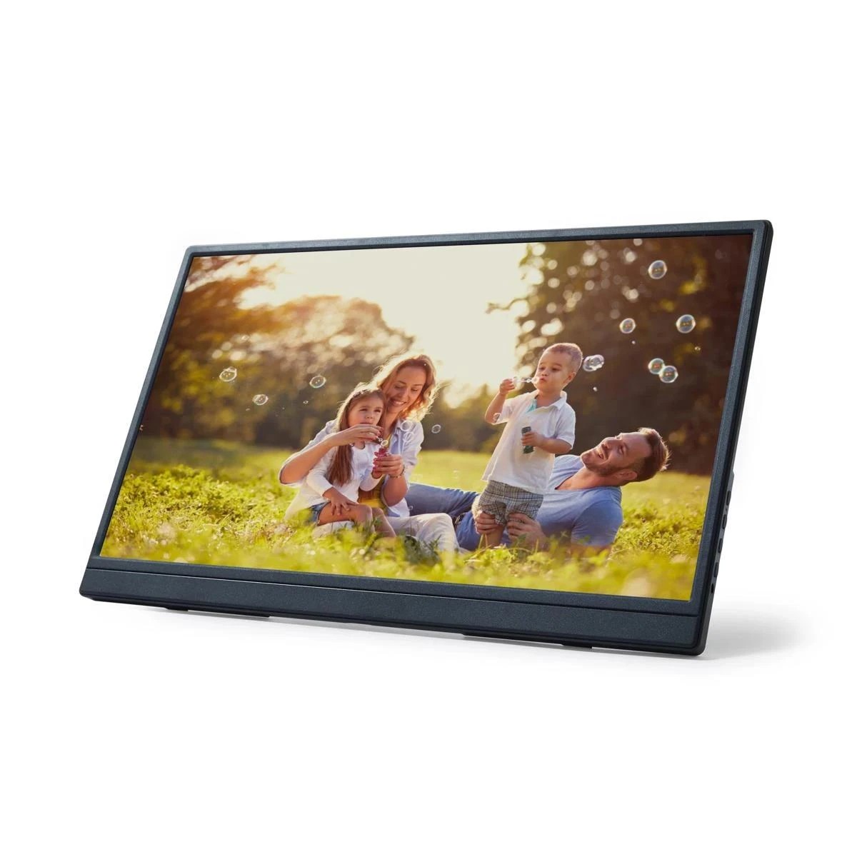 1 15.6in. Portable Monitor, 1 of 10