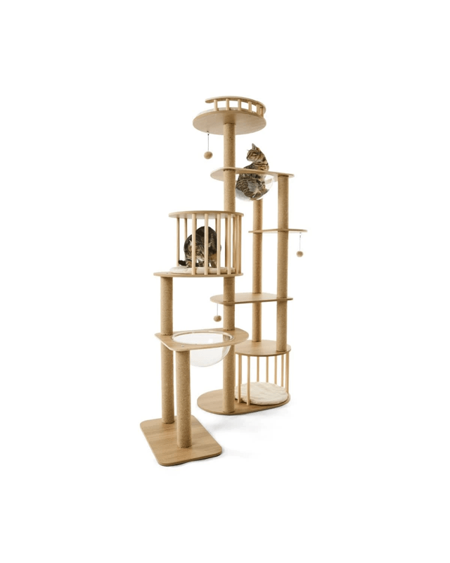 Cat Tower 