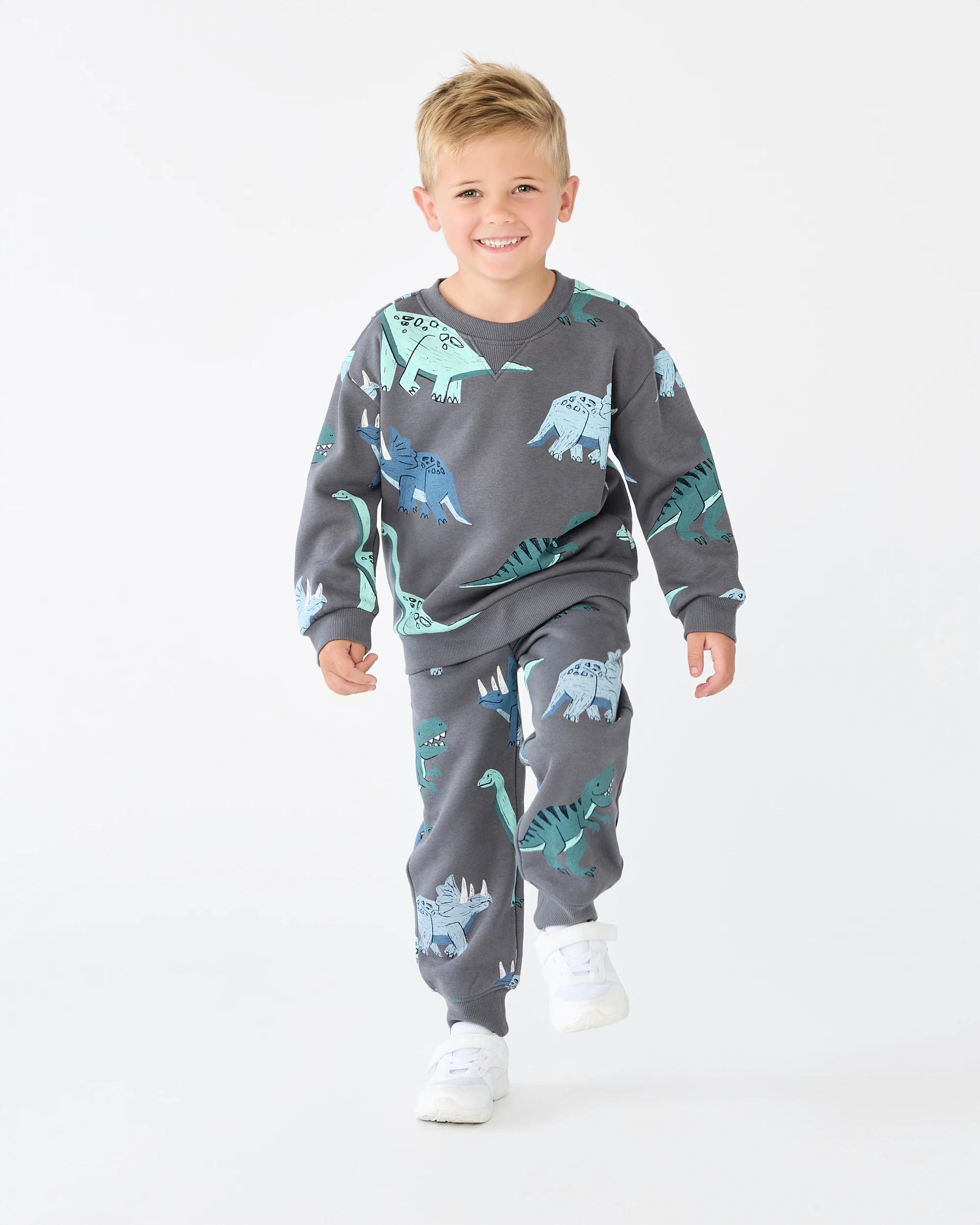 5 All Over Print Crew Neck Sweatshirt Gry Dino, 5 of 6