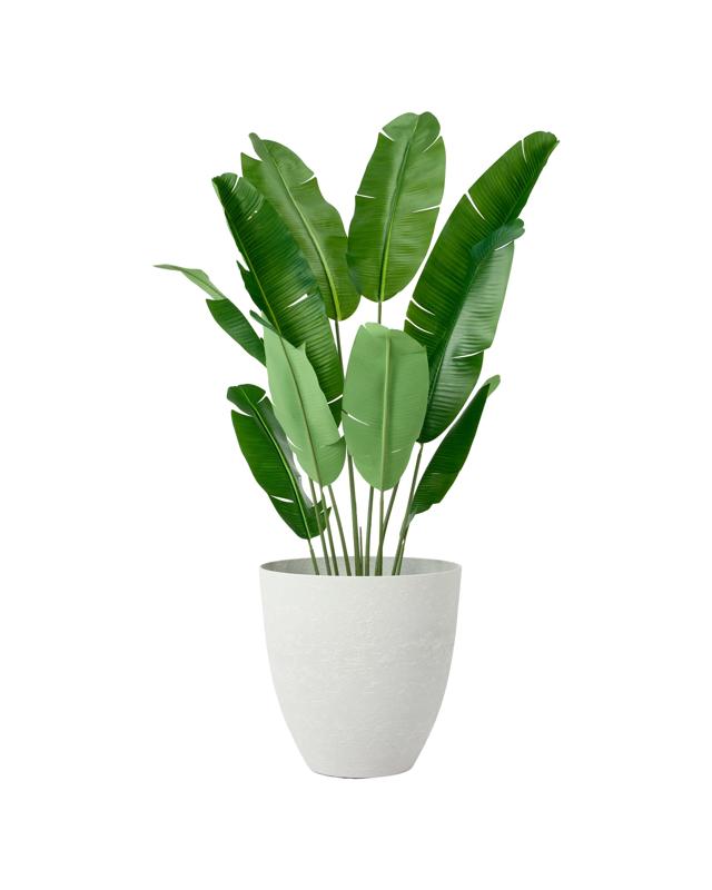 49cm Textured Plastic