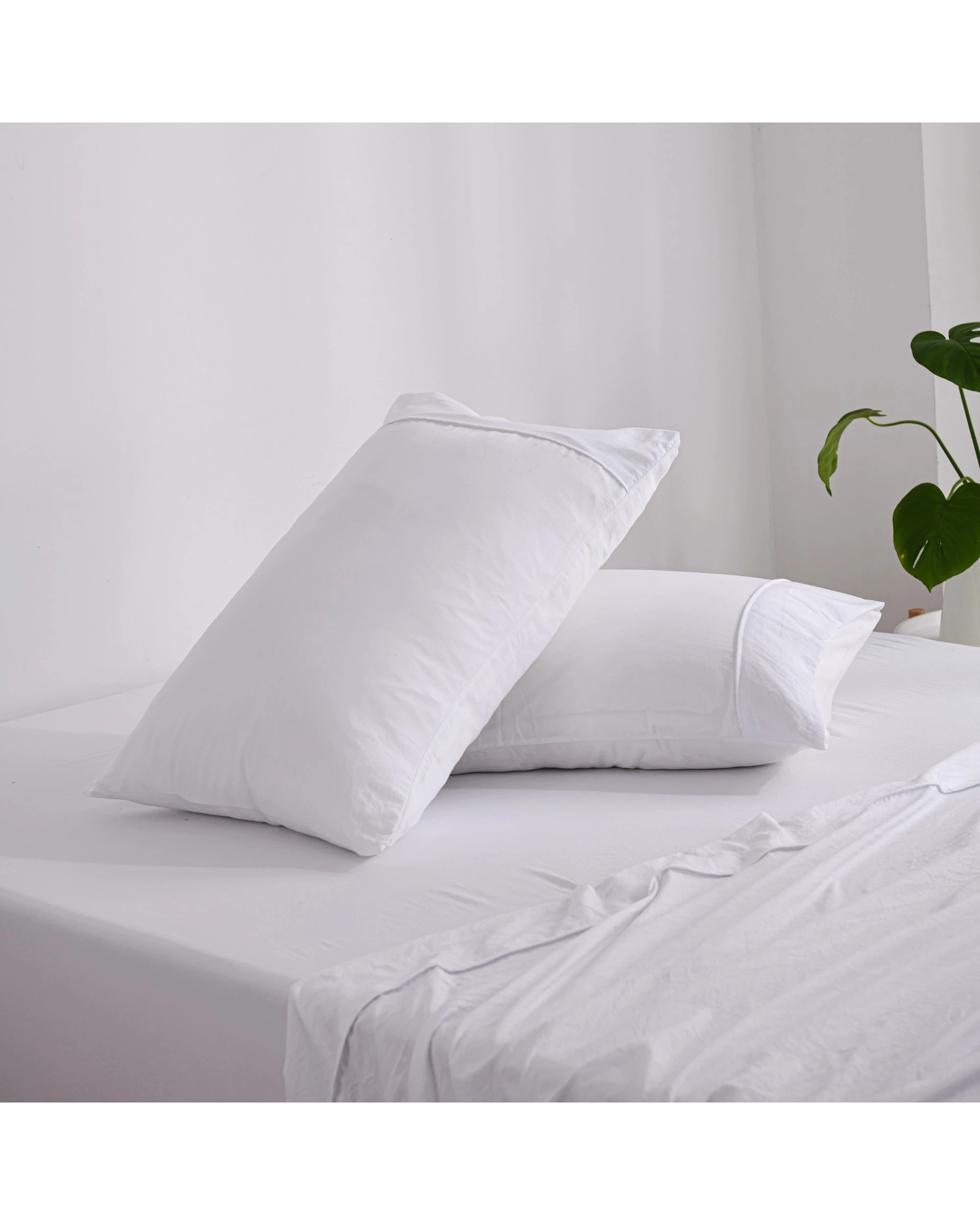 2 Dreamaker Superfine Washed Microfibre Standard Pillowcase Twin Pack - White, 2 of 5