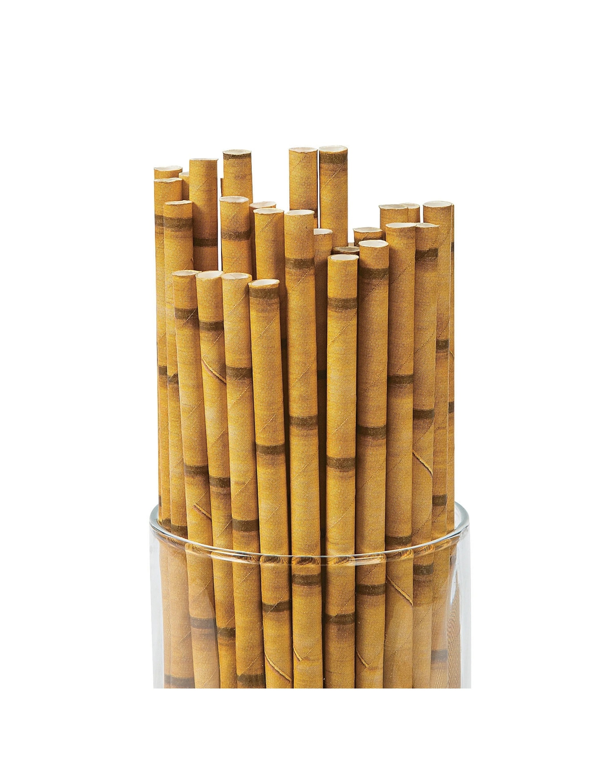 1 Partyrama Bamboo Look Paper Straws Pack of 24, 1 of 1