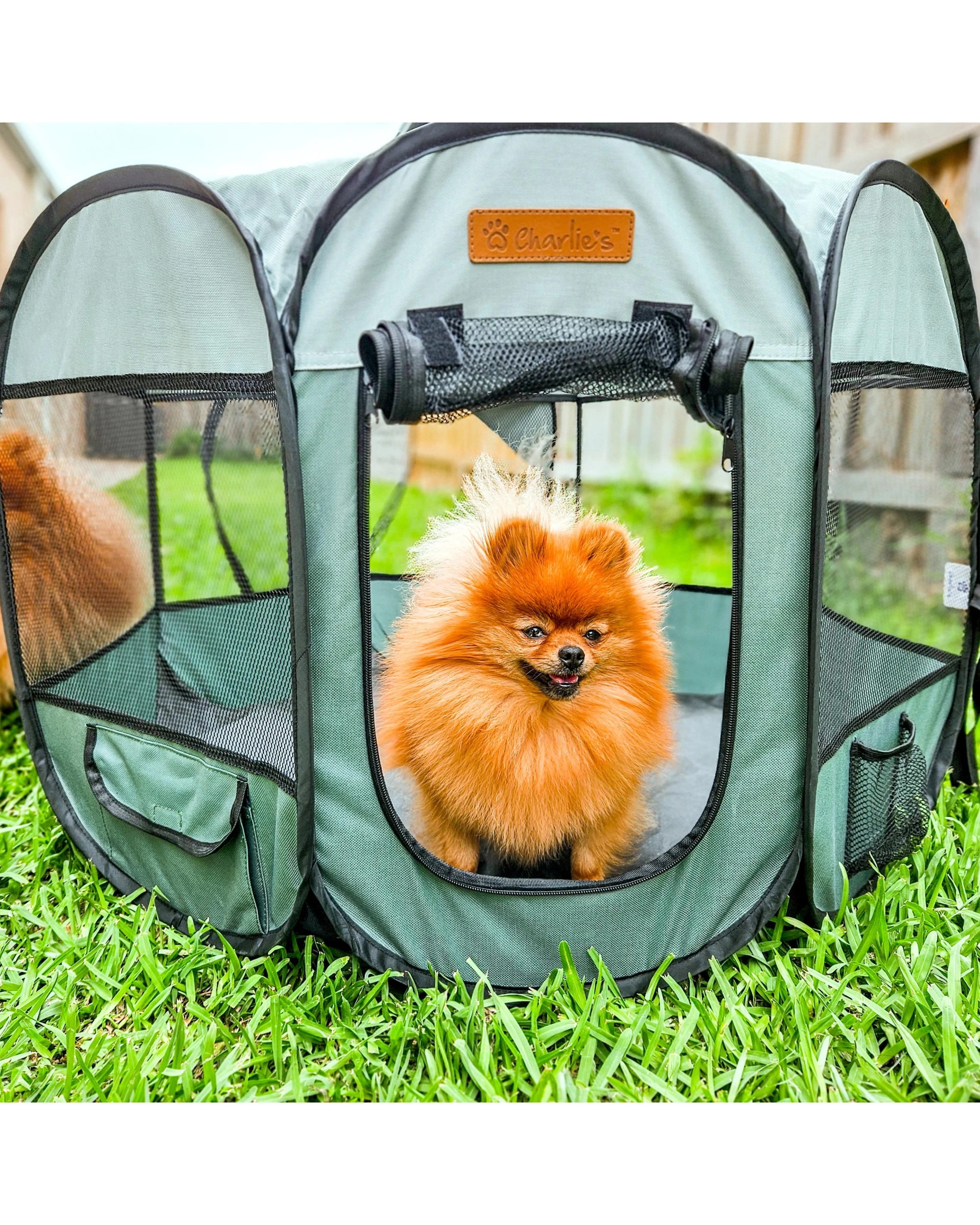 1 Charlie's Adventure Pet Playpen Foldable Portable Crate Small - Green, 1 of 10