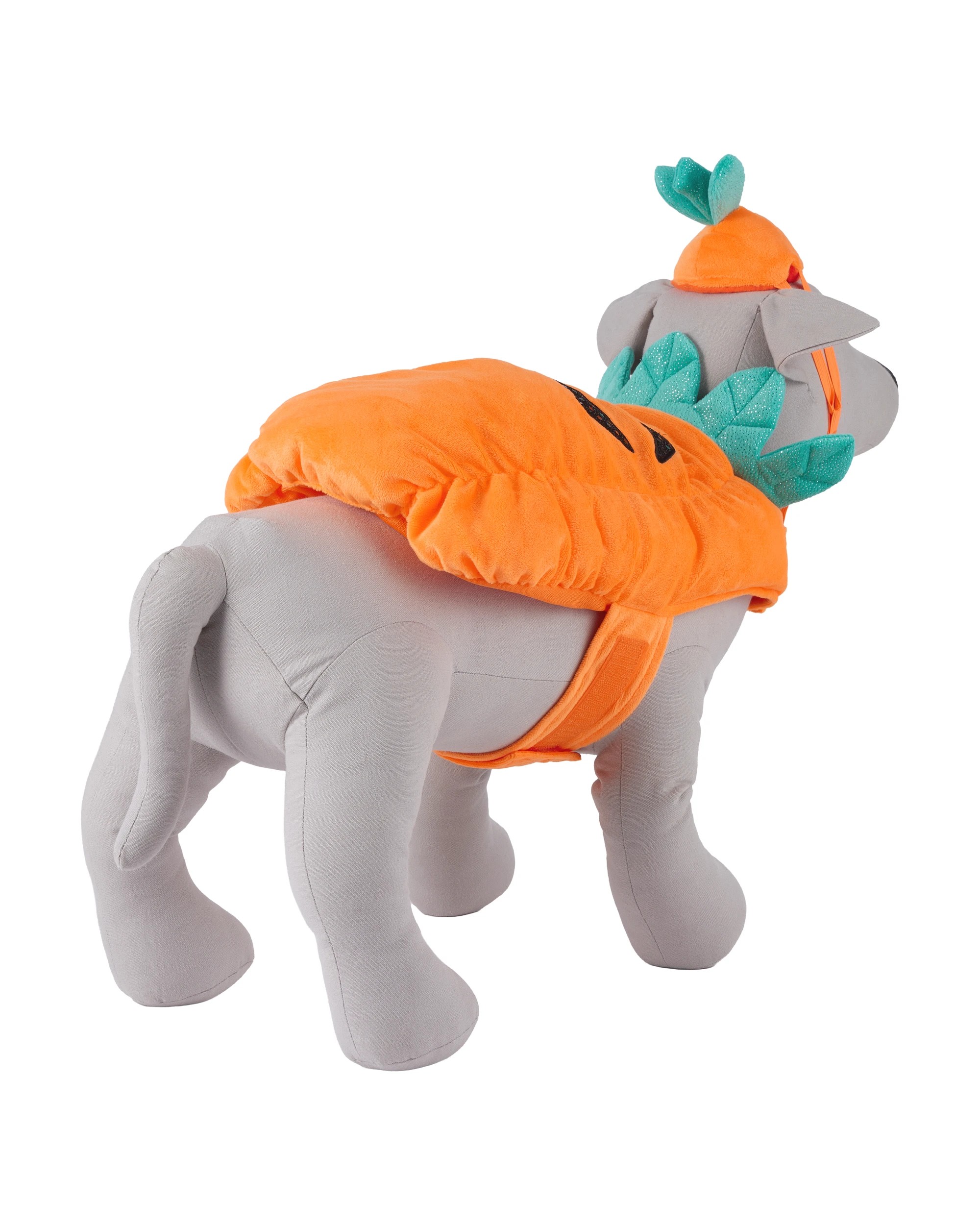 3 Pumpkin and Hat - Small to Medium, 3 of 10