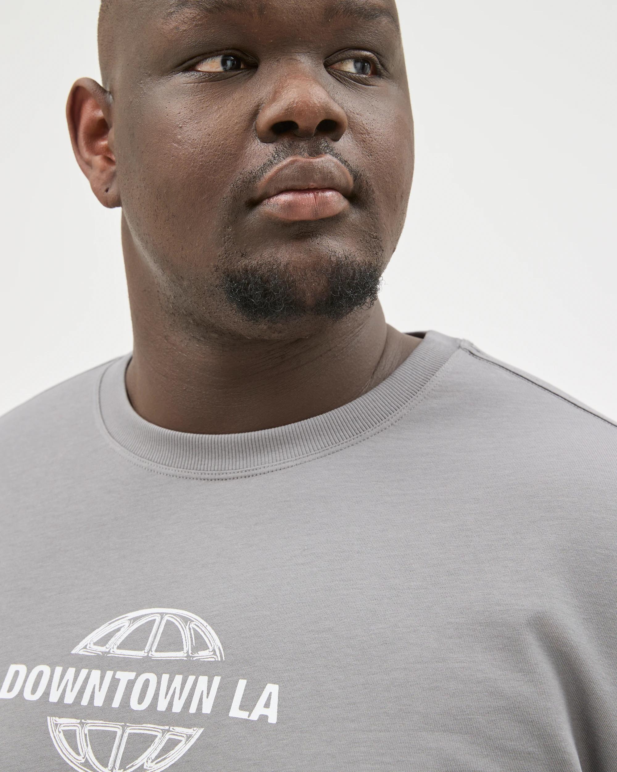 3 Target Man Plus Size Australian Cotton Heavyweight Relaxed Clear Vision T-Shirt GREY GARGOYLE, 3 of 6