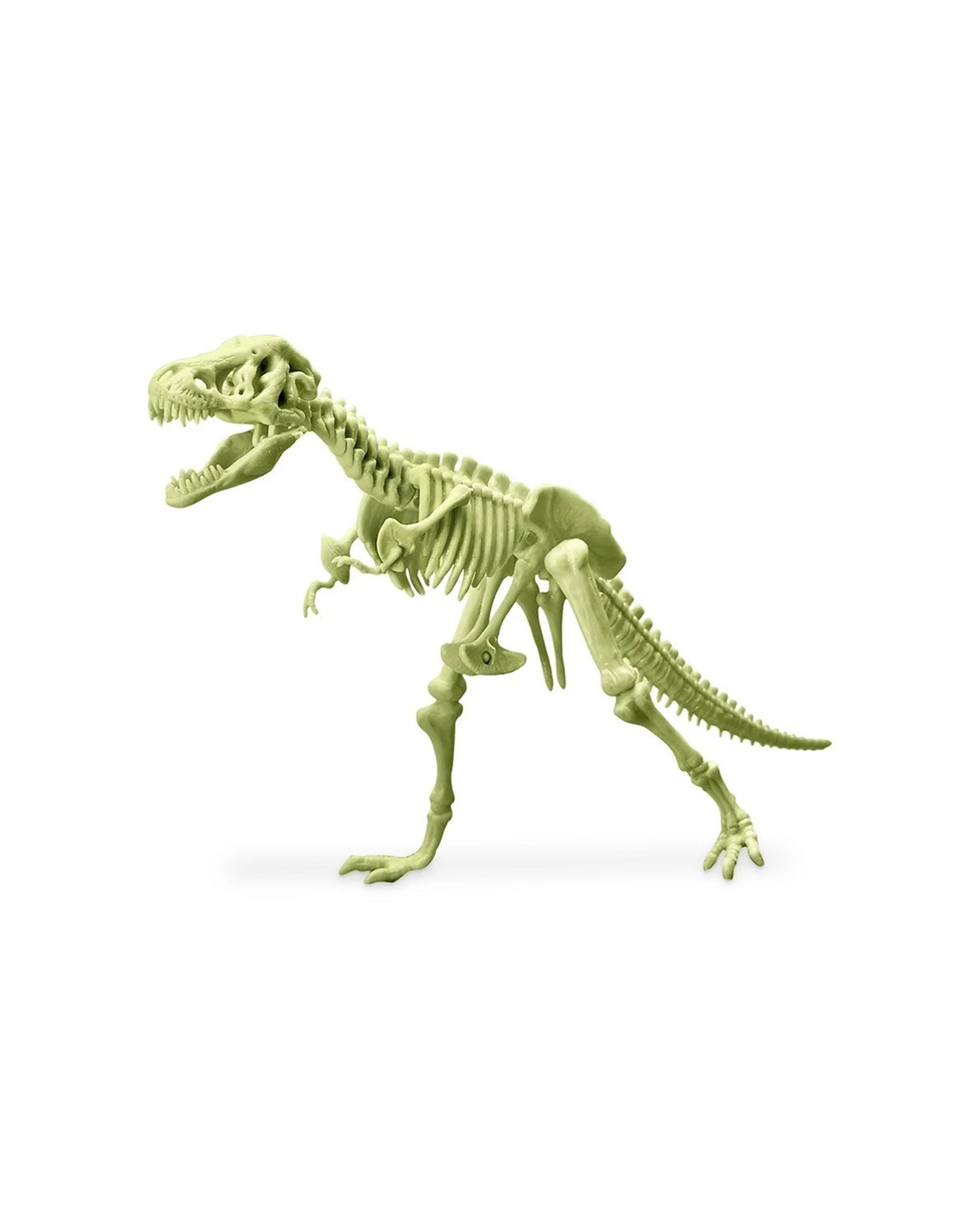 3 4M KidzLabs Glowing T-Rex Skeleton Kids Children Educational Fun Play Toy, 3 of 3