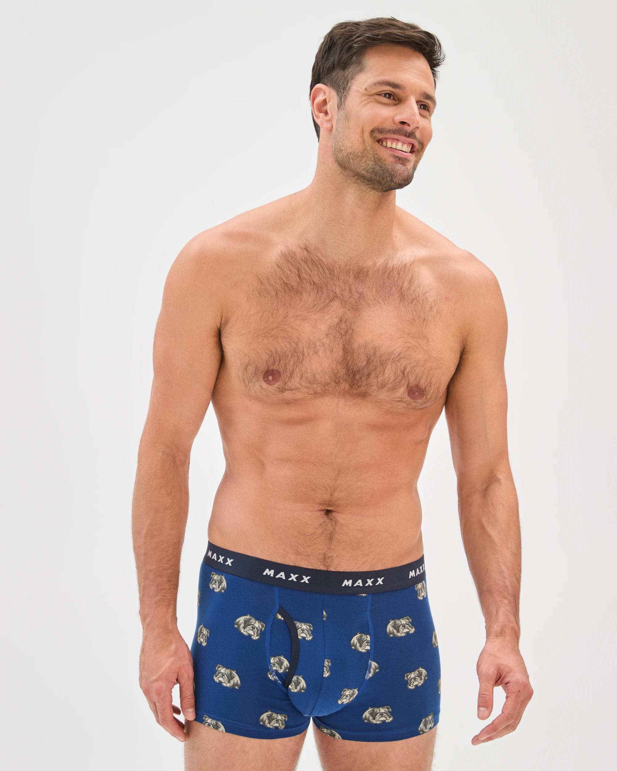 2 Maxx Australian Cotton Blend 3 Pack Flyfront Trunks BLUE DOG, 2 of 4