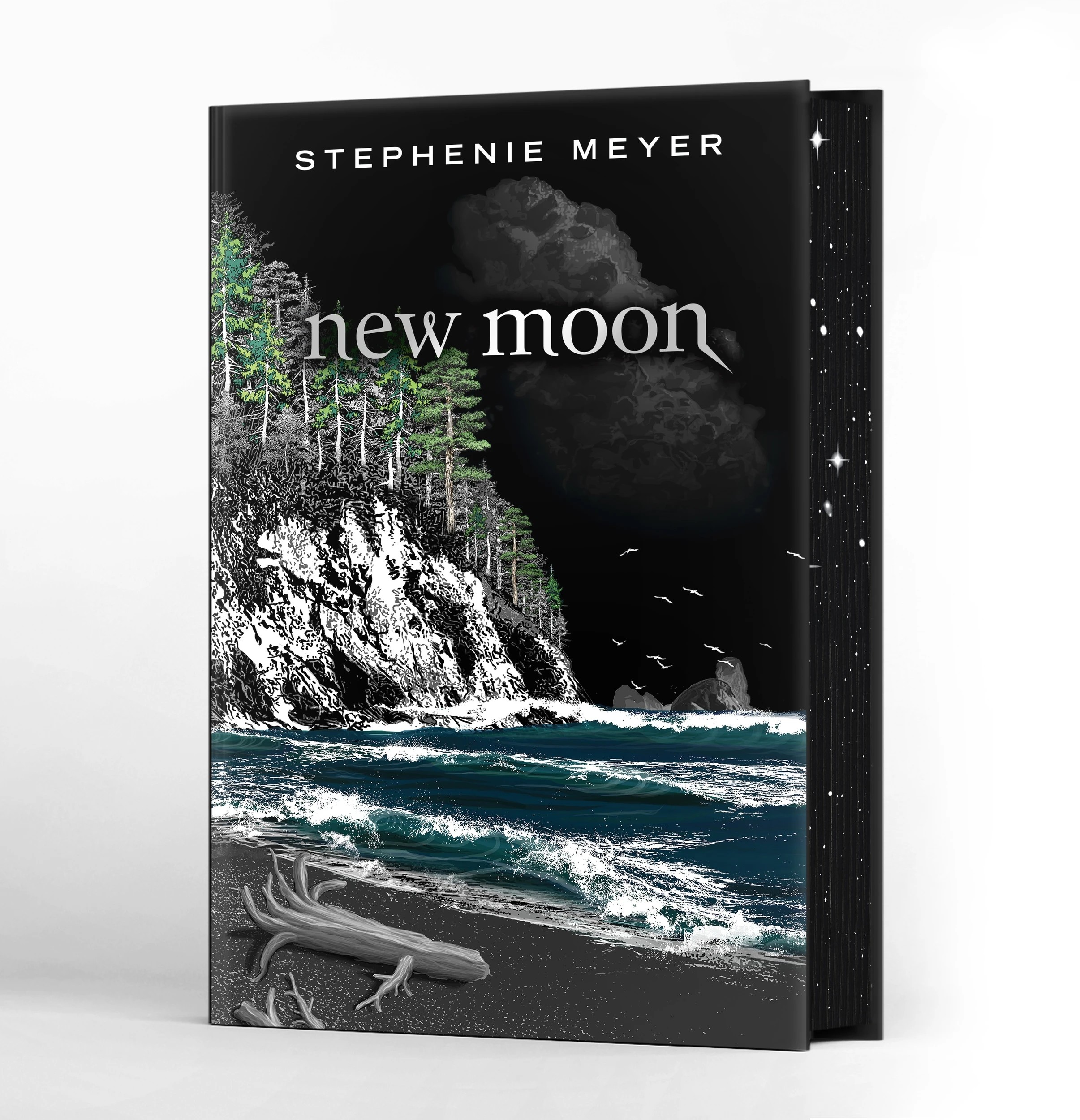 3 Twilight Deluxe Collector's Edition by Stephenie Meyer - Book, 3 of 6