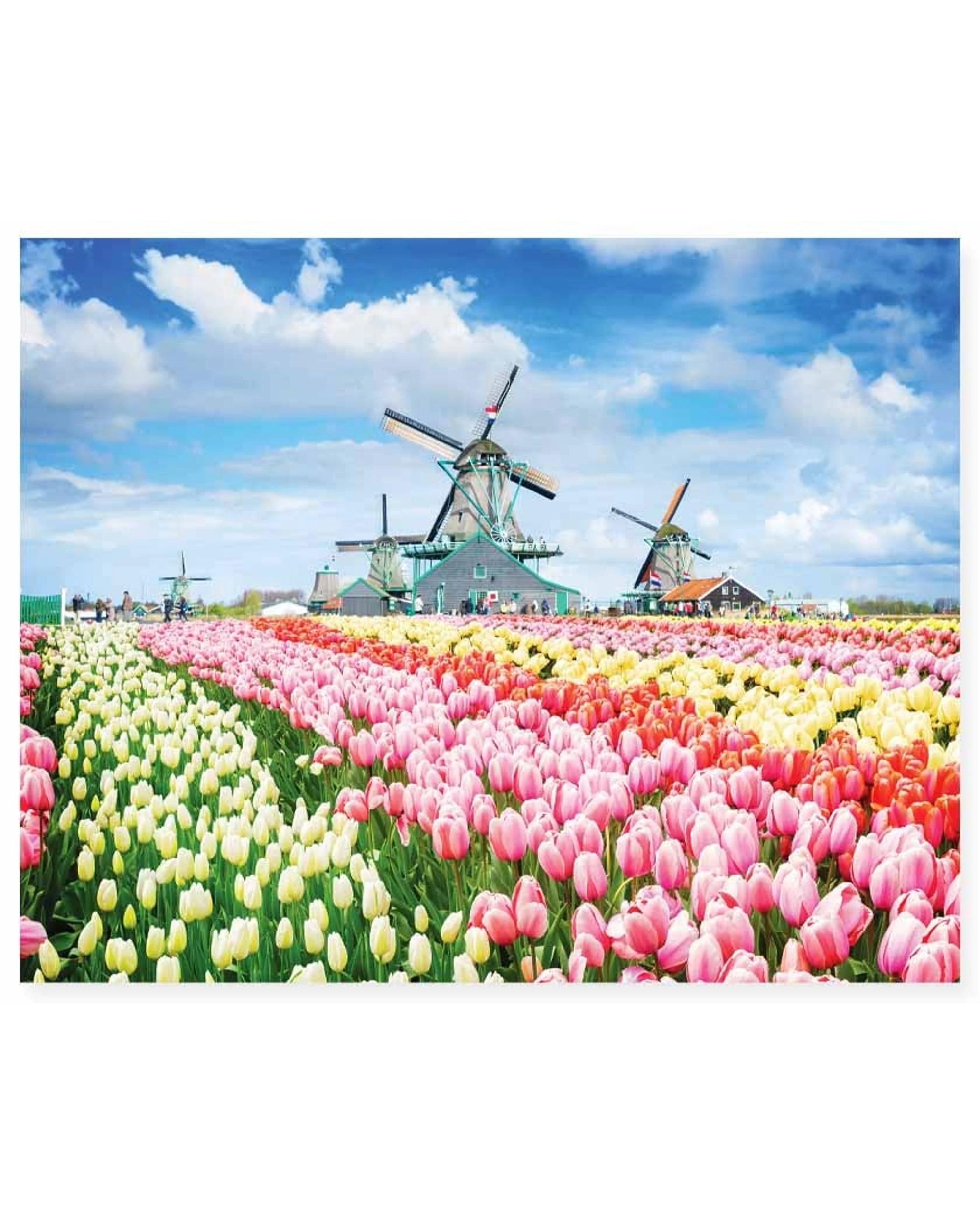 2 Hinkler Mindbogglers Dutch Windmills Netherlands 1000 Piece Puzzle, 2 of 2
