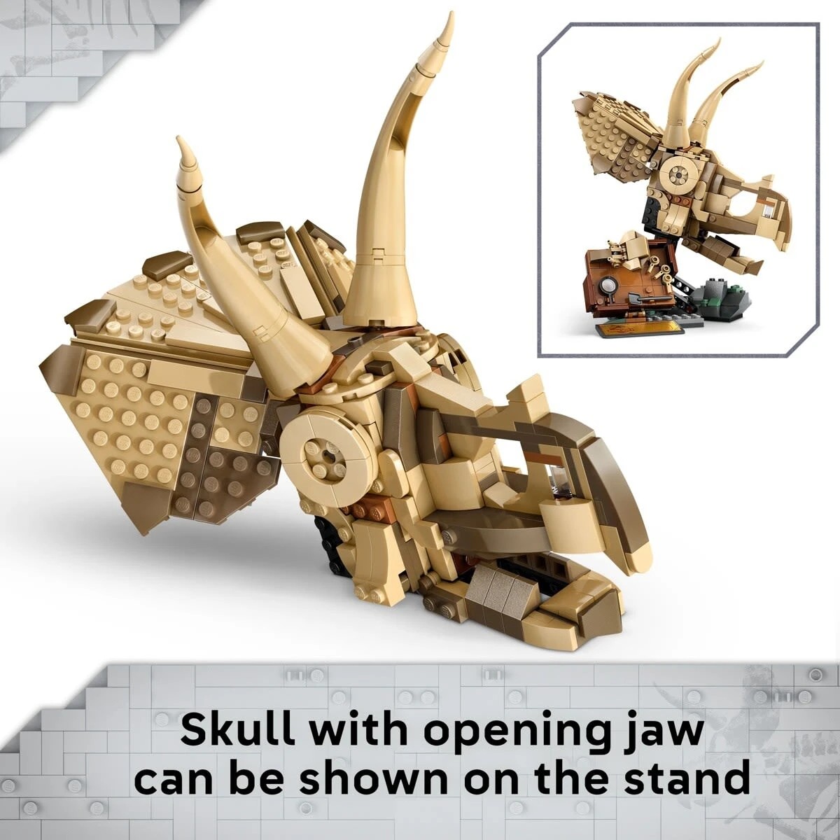 7 LEGO Jurassic World Dinosaur Fossils: Triceratops Skull 76969, 7 of 10