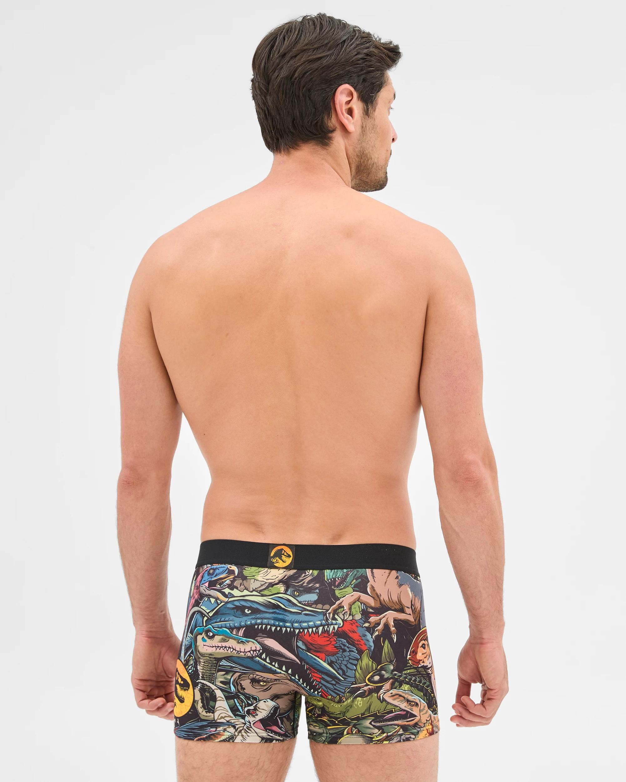 2 Jurassic World Trunks - Swag MULTI, 2 of 4