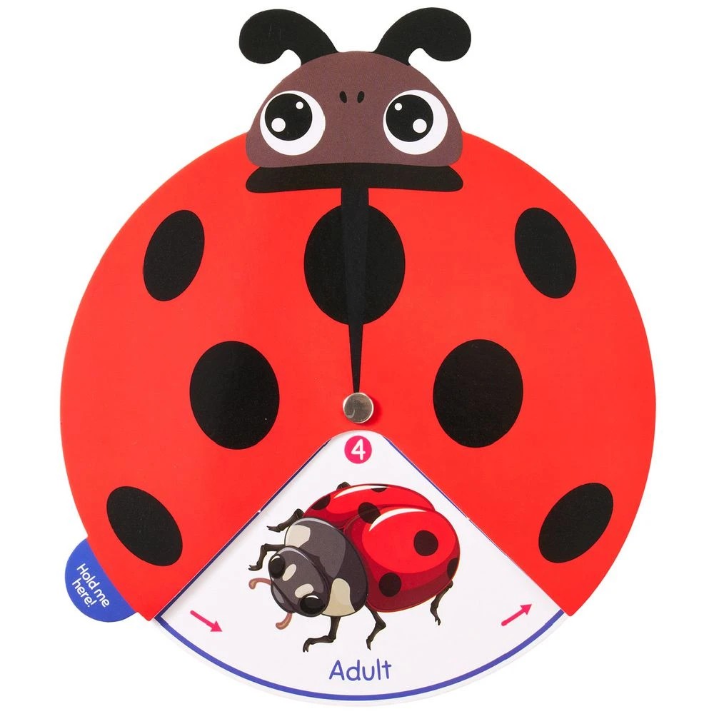 3 Kadink Lifecycle Spinning Cards, 3 of 5