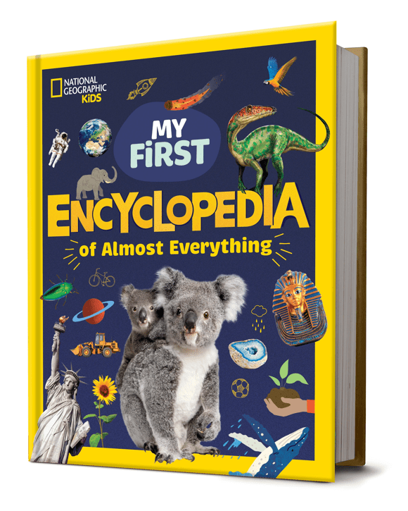National Geographic Kids My First Encyclopedia of Almost Everything - Book