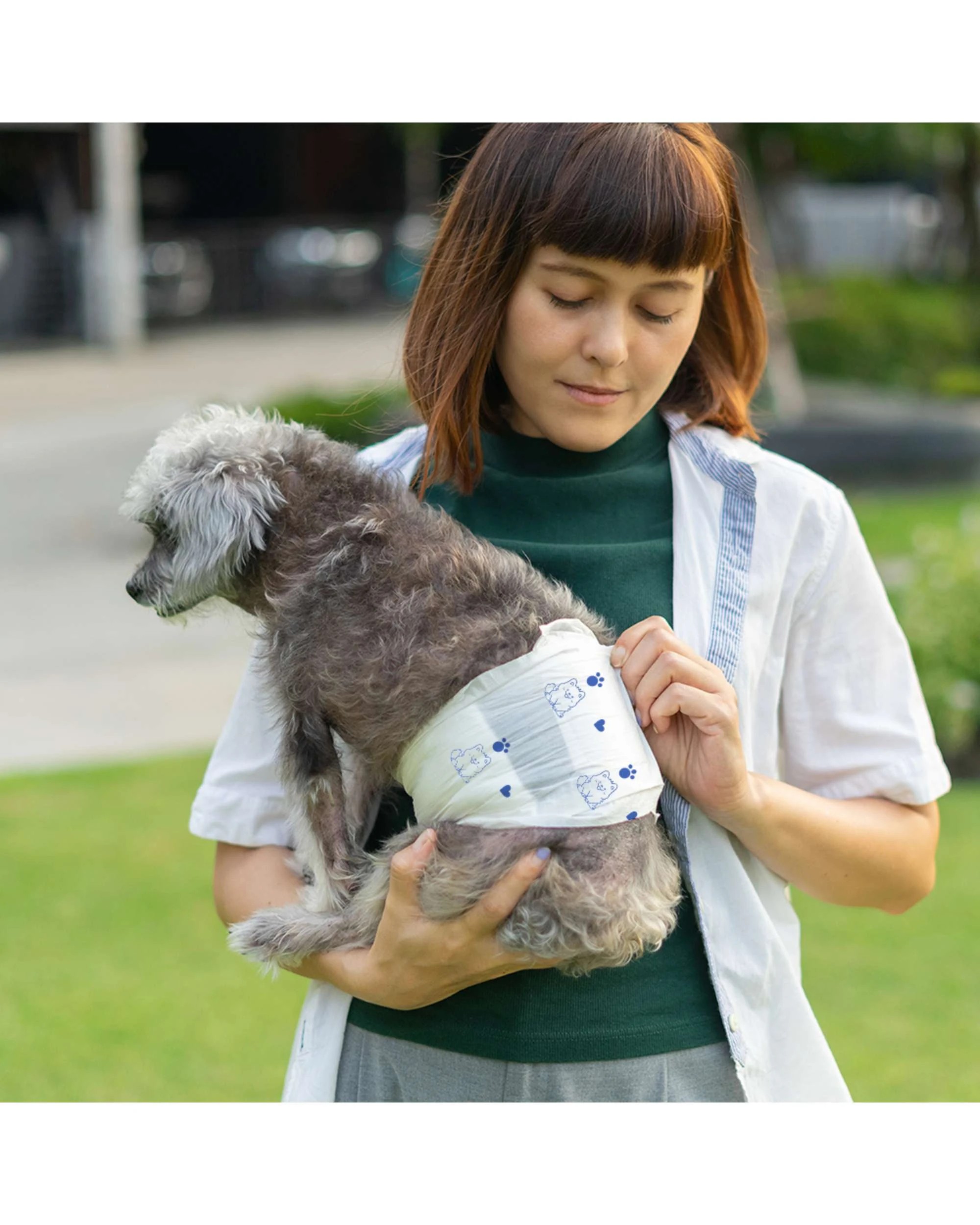 2 Advwin 50 Pack Male Dog Puppy Pet Diapers Dog Nappies--L, 2 of 8