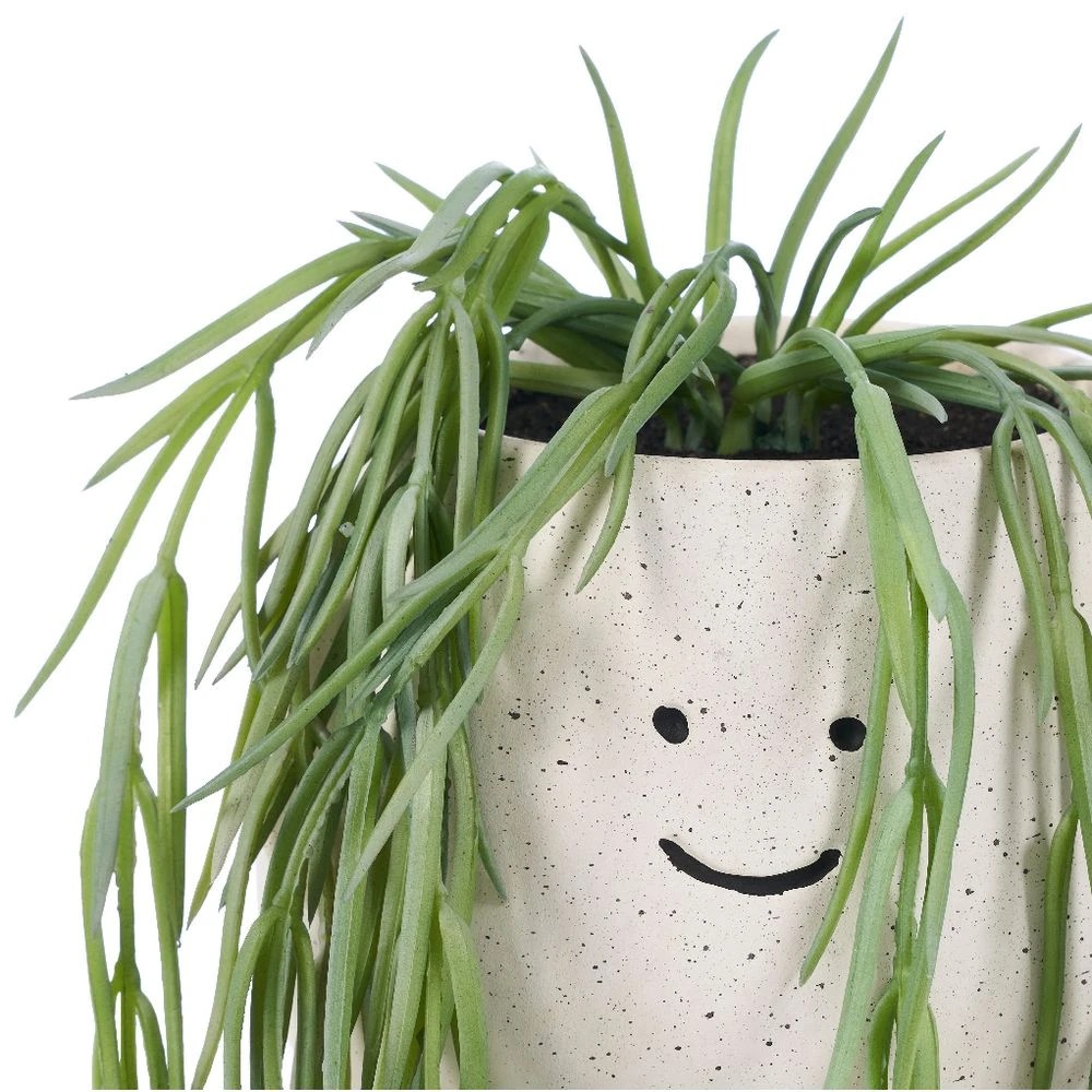 2 Otto Trailing Plant Tiny Human Green, 2 of 3