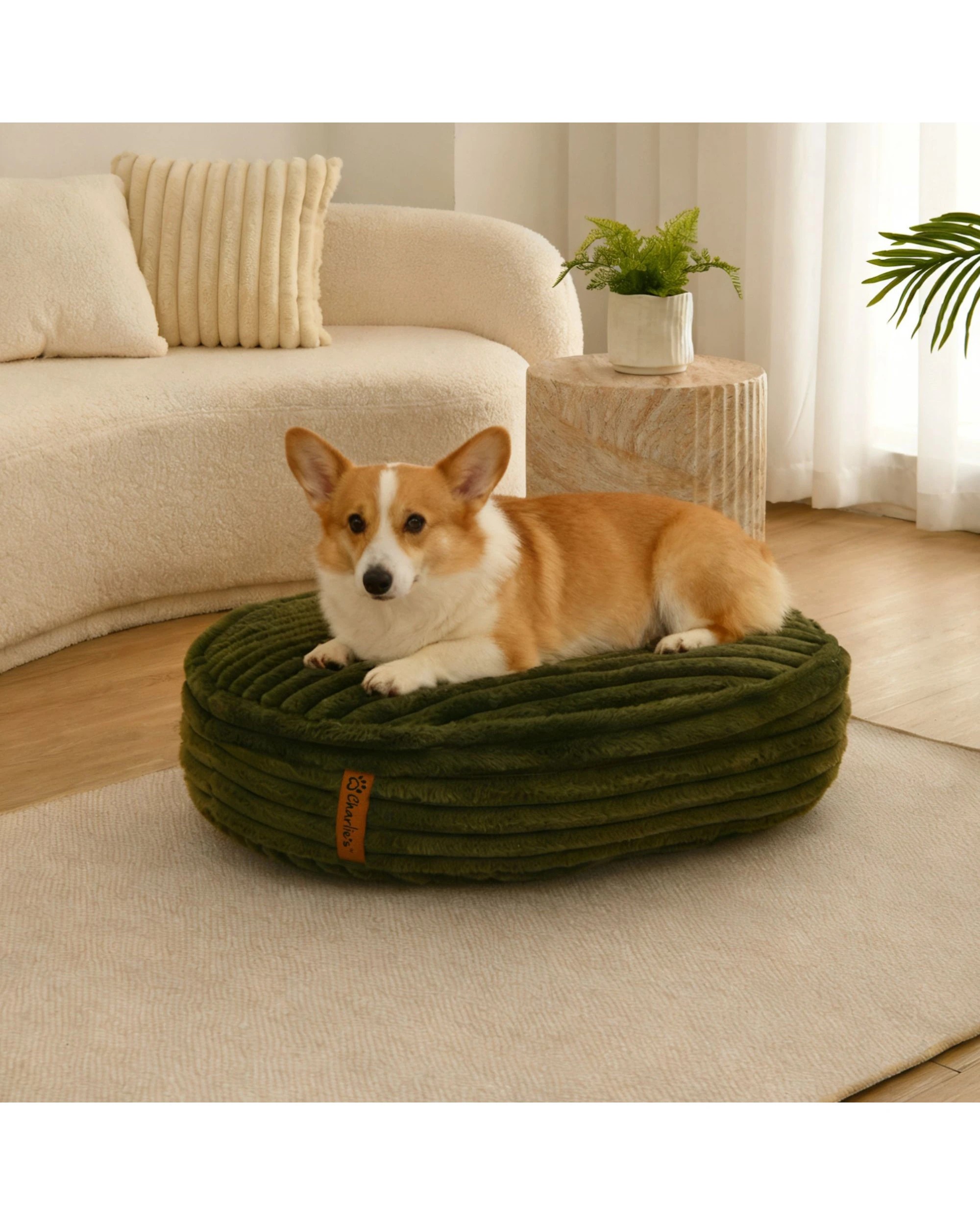 1 Charlie's Cloud Crushed Foam Dog Bed Small - Olive, 1 of 7
