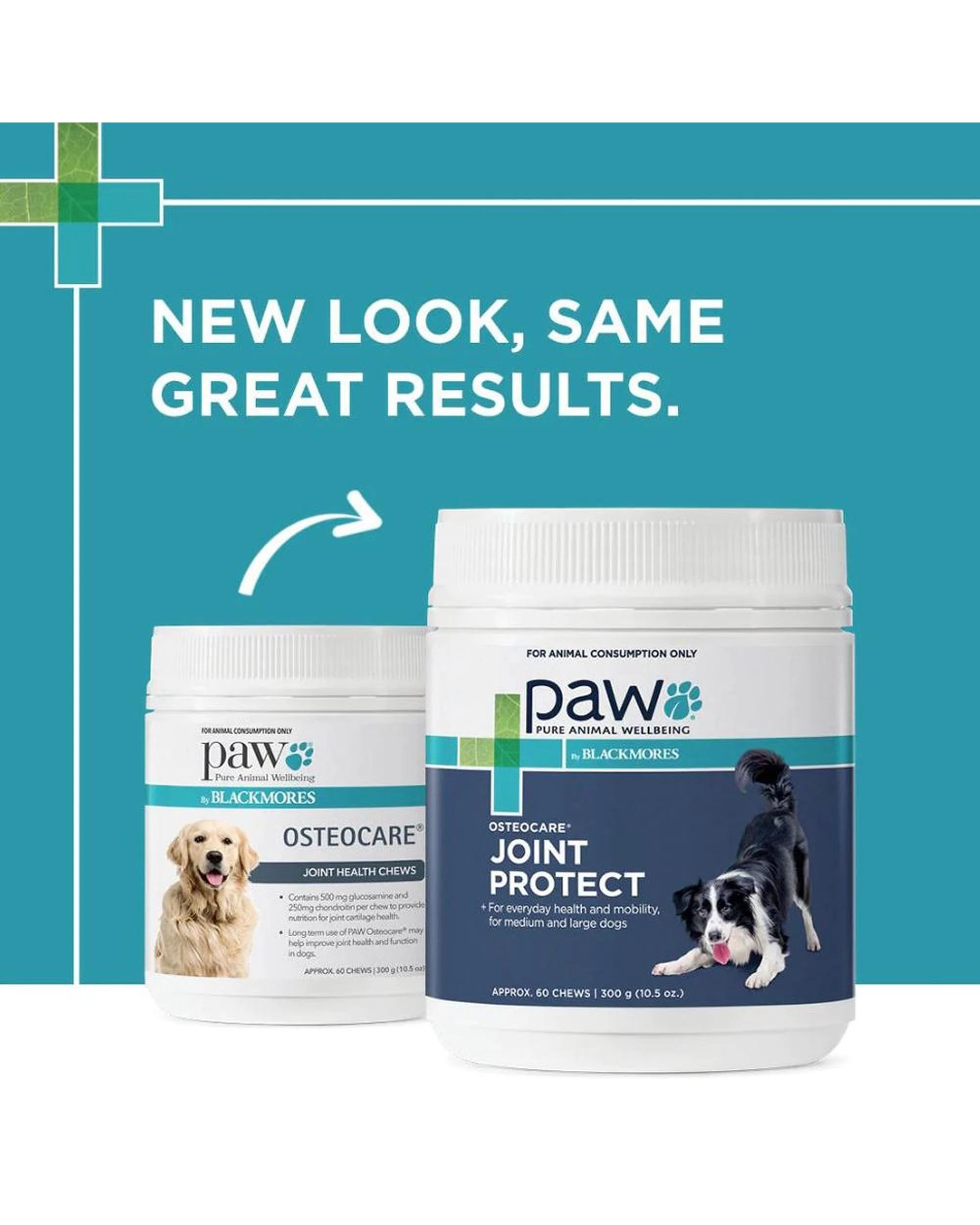 4 Paw Osteocare Chews For Dogs - 300gm 60's, 4 of 8