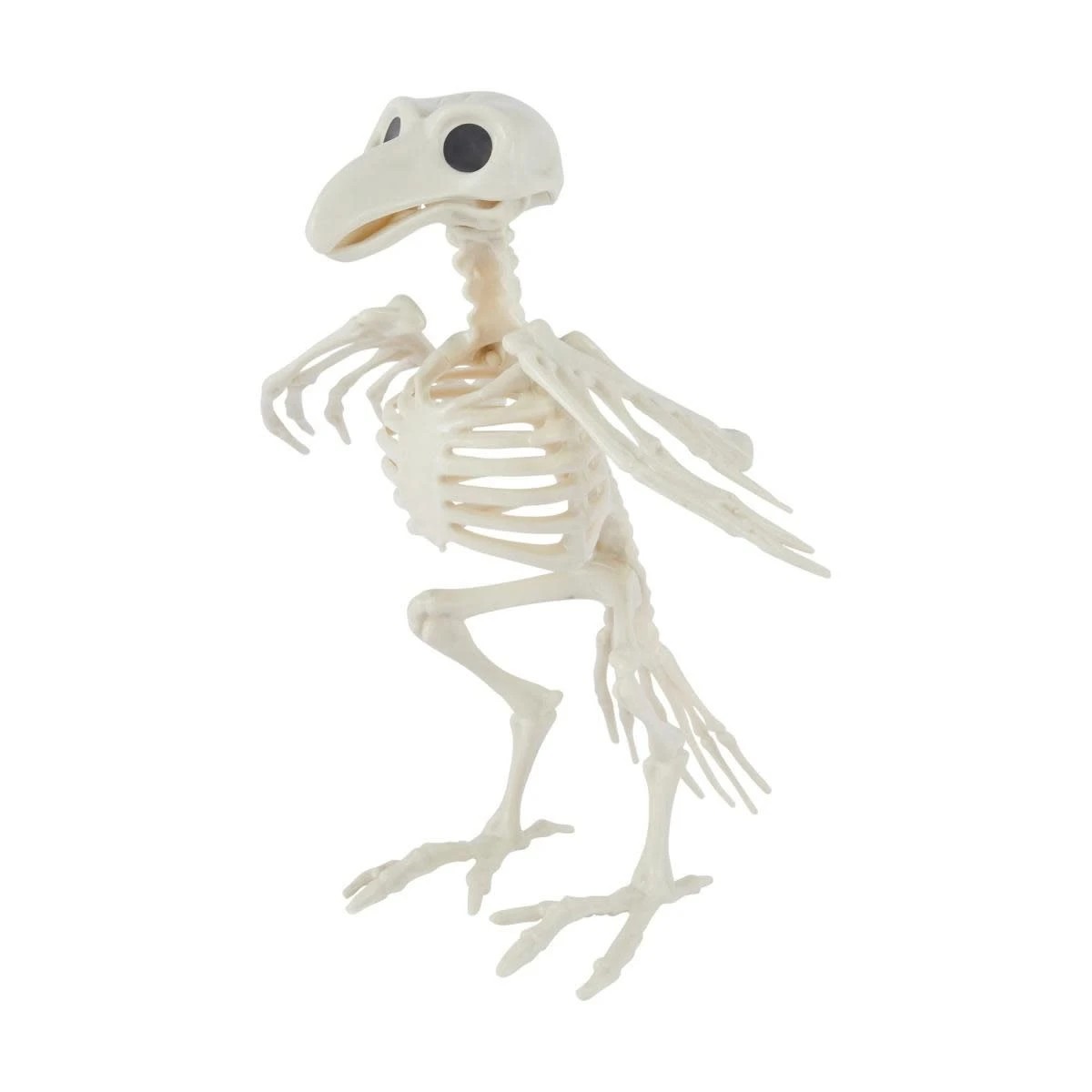 1 Bird Skeleton, 1 of 6