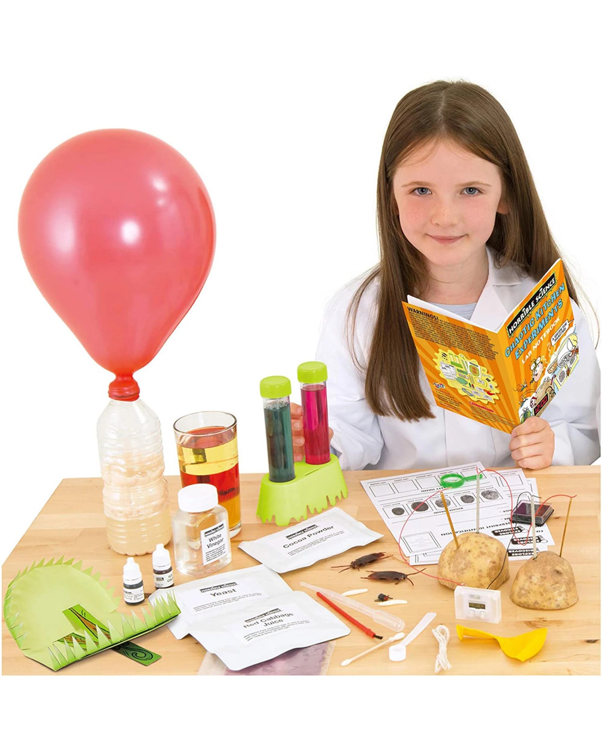 2 Horrible Science Chaotic Kitchen Experiments Educational Toy, 2 of 2