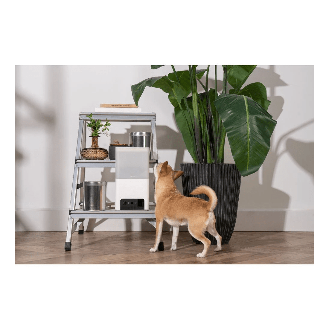 5 Petcube Bites 2 Lite Pet Cam & Treat Dispenser White, 5 of 5