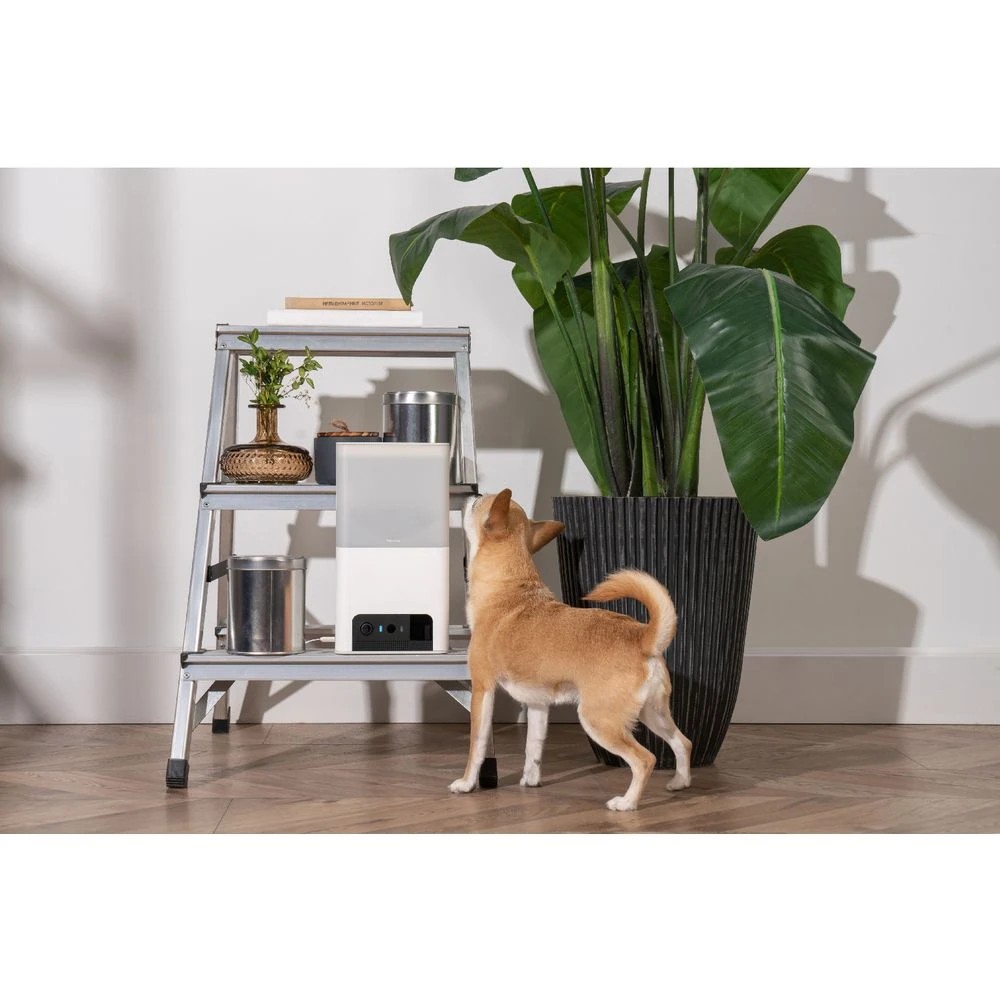 5 Petcube Bites 2 Lite Pet Cam & Treat Dispenser White, 5 of 5