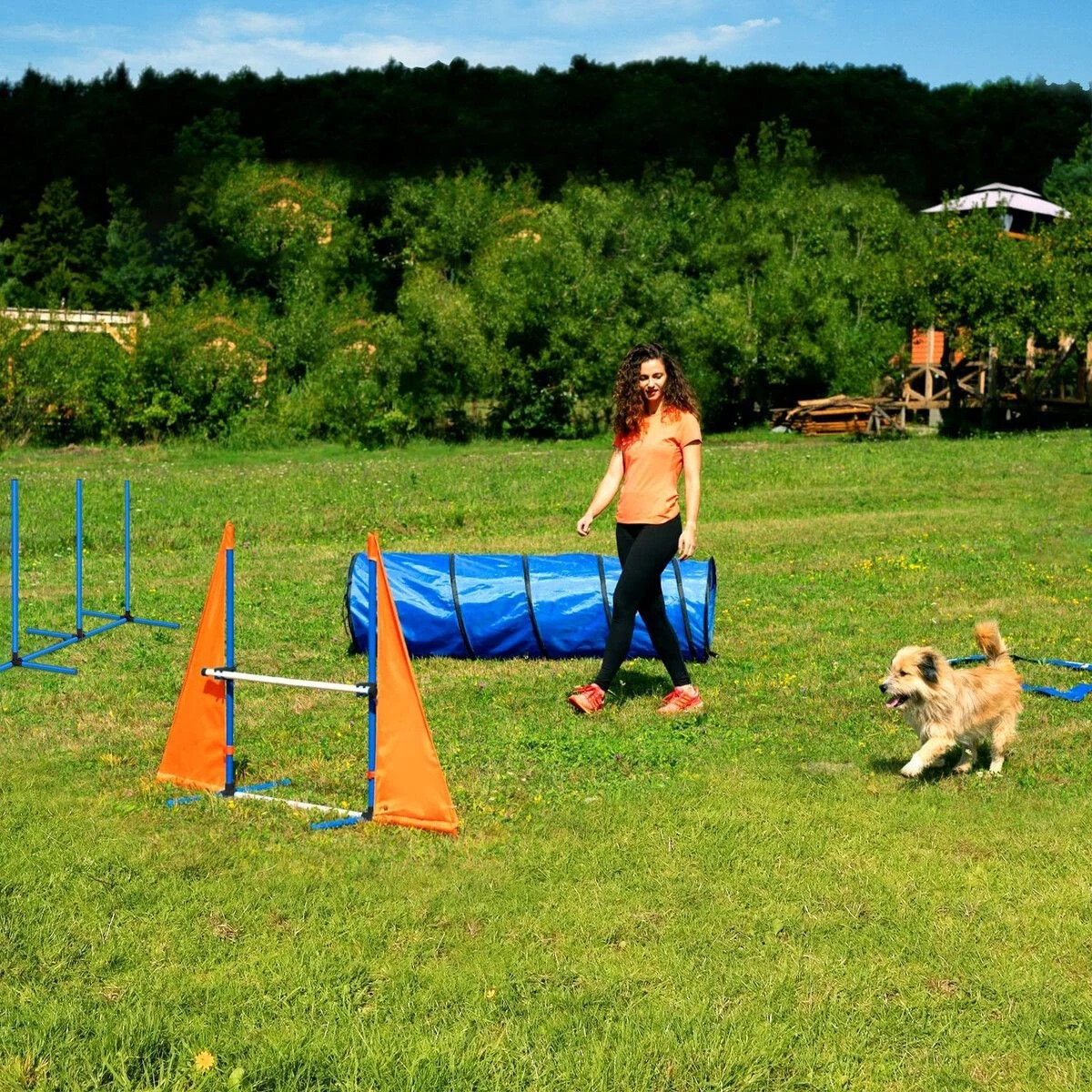 2 Pet Scene Dog Agility Equipment Obstacle Training Course, 2 of 5