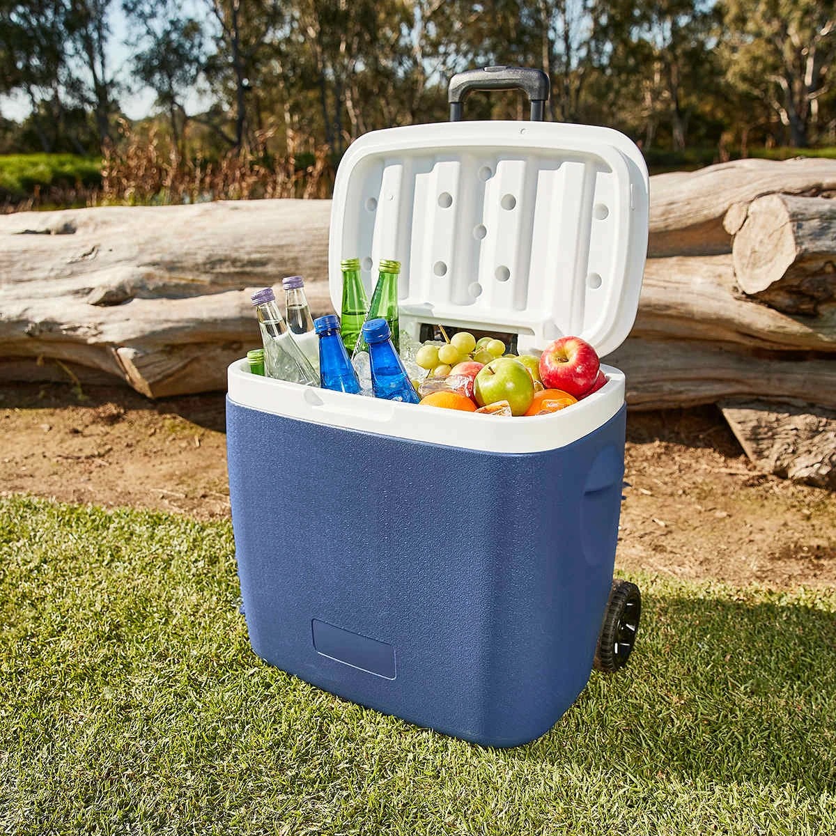 1 38L Wheelie Cooler, 1 of 9