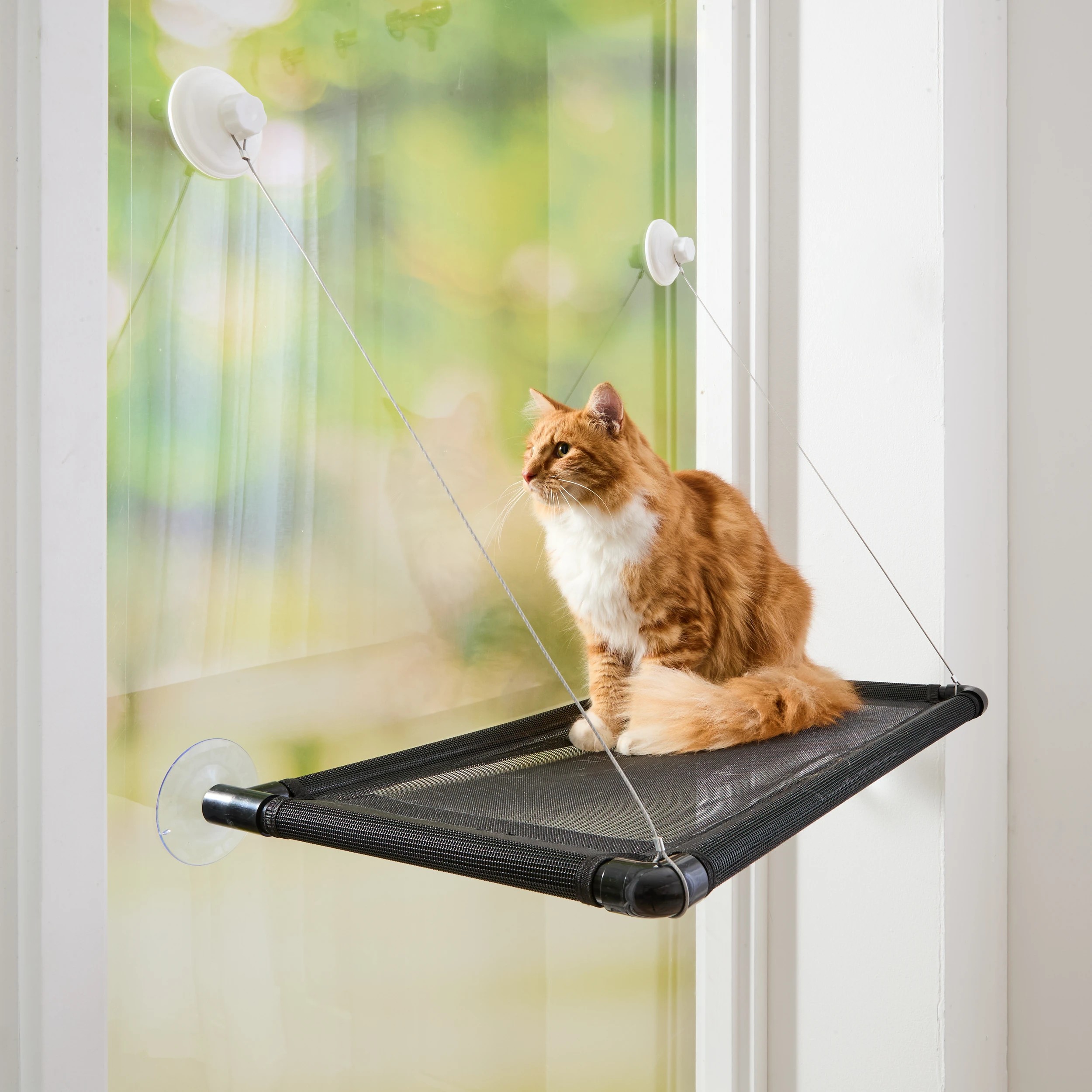 1 Cat Window Hammock, 1 of 9