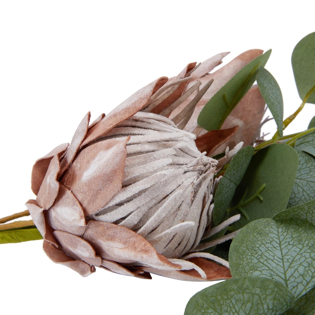 5 Artificial Protea Bunch, 5 of 6