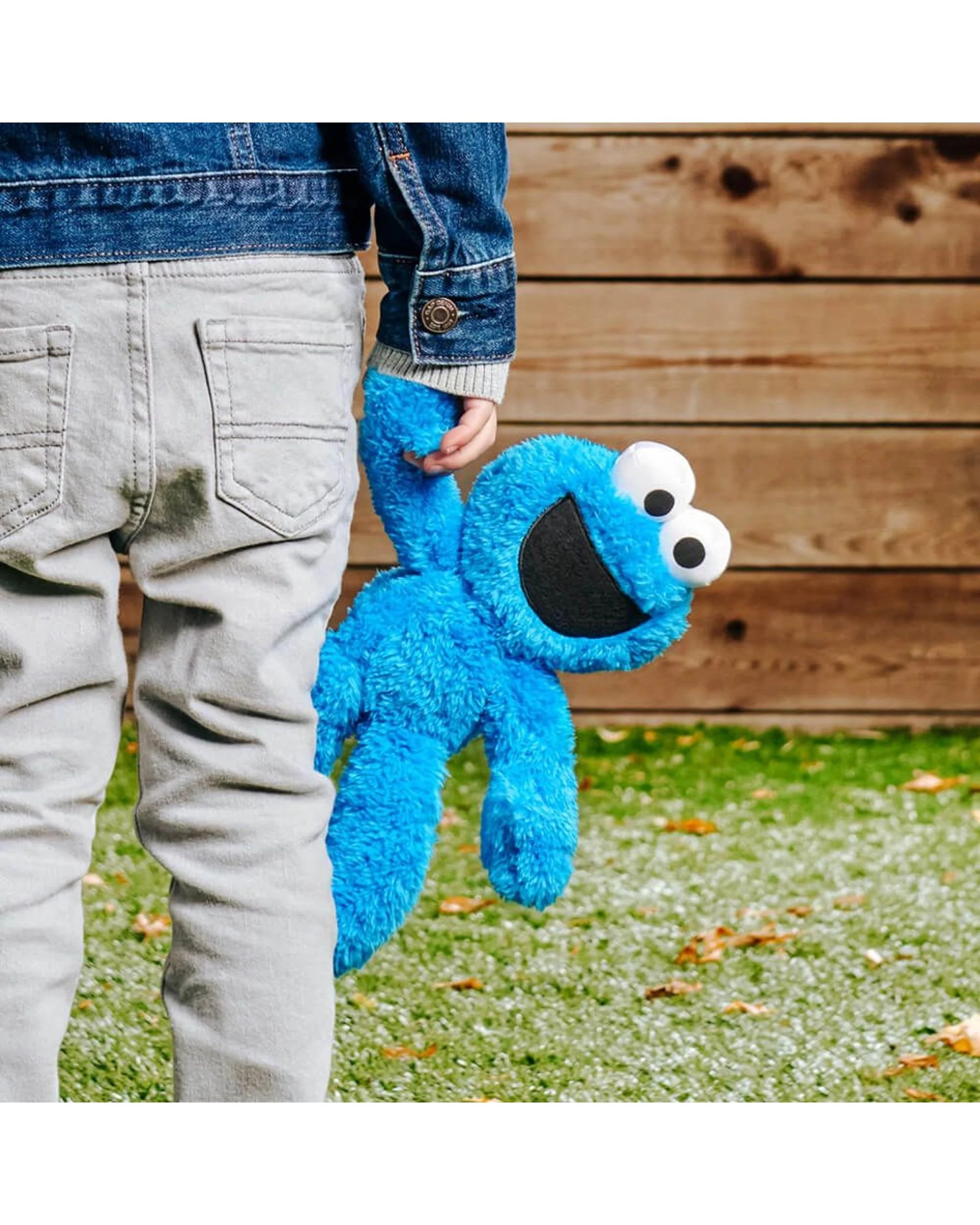 7 Sesame Street Cookie Monster Take-Along Buddy Plush, 7 of 7