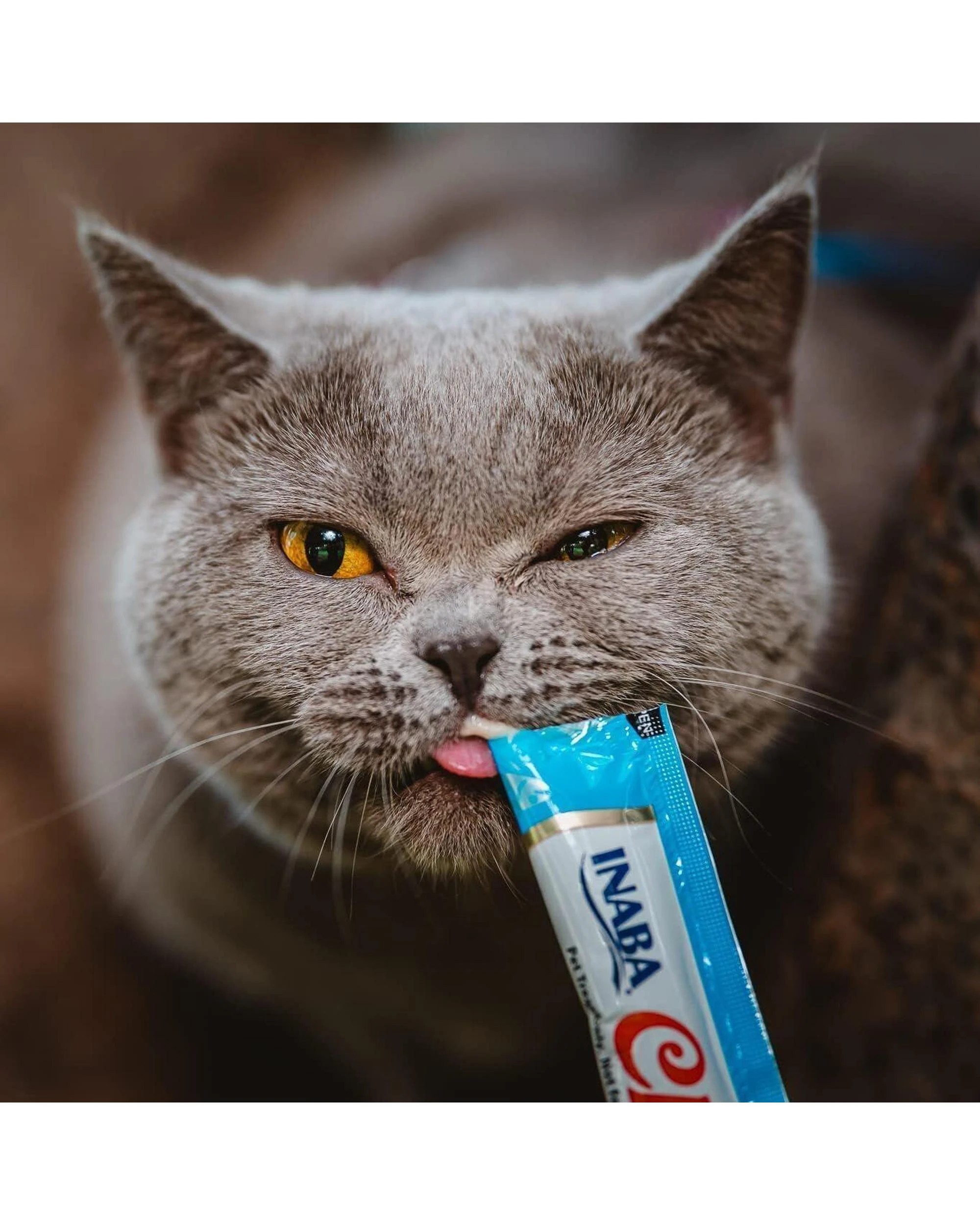 6 Inaba Churu Puree Lickable Cat Treats Tuna Variety Box 50 x 14g, 6 of 7