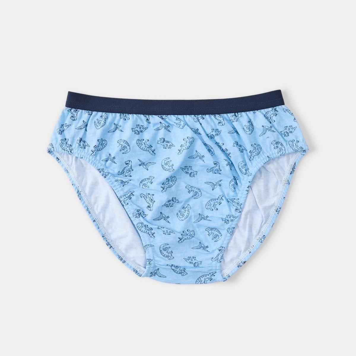 8 7 Pack Print Briefs DINOS, 8 of 9