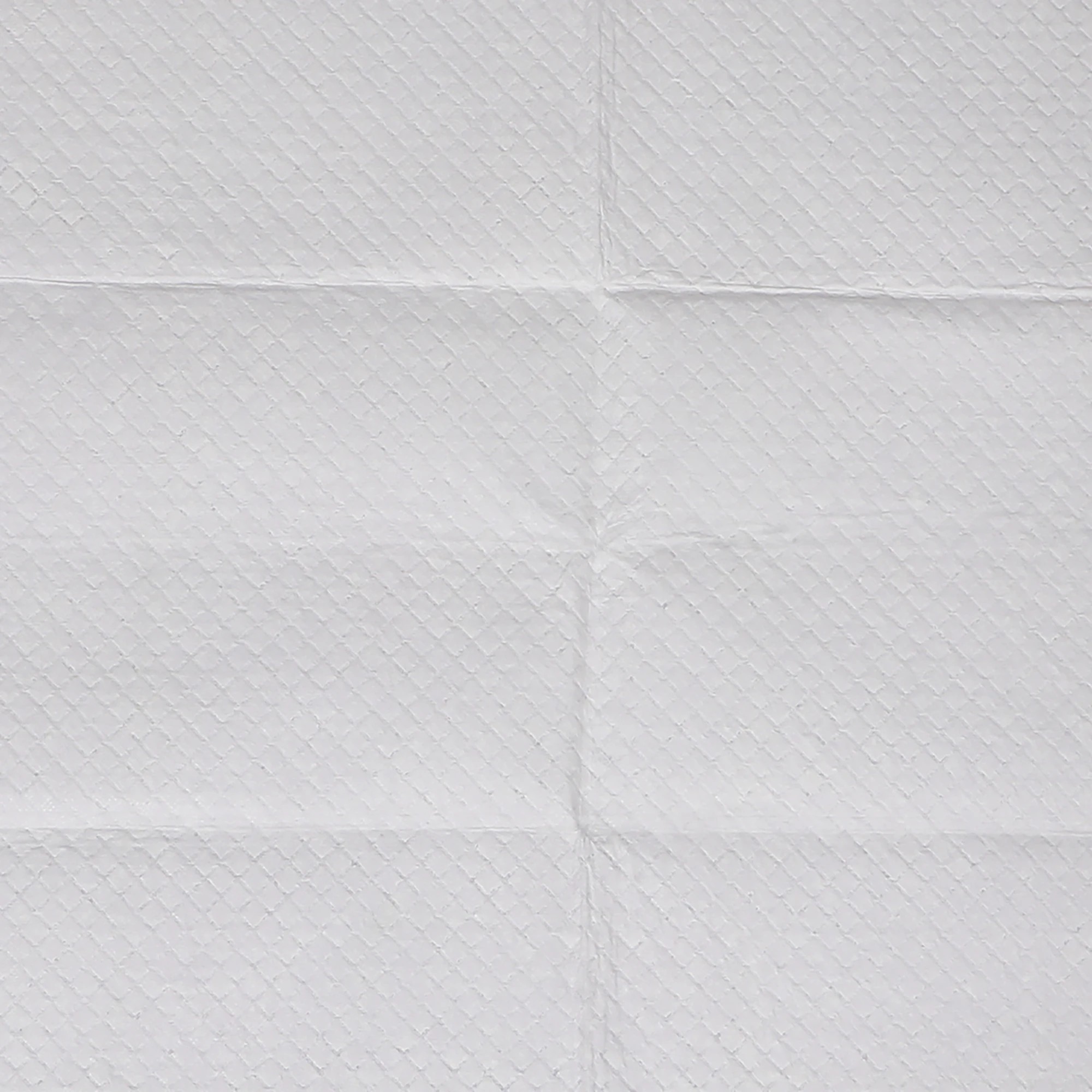 5 Pawz Puppy Training Pads 400 Pack, 5 of 7