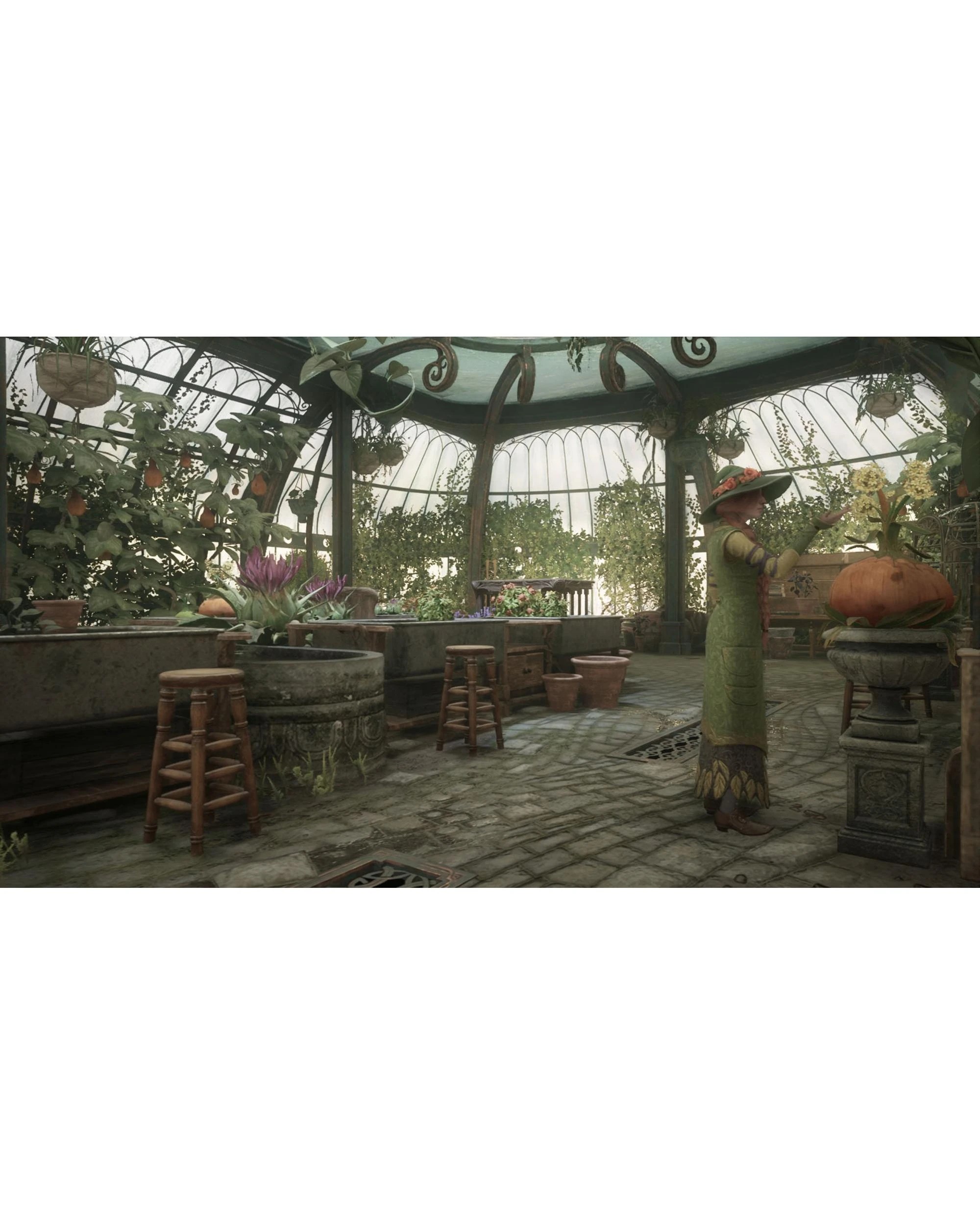 2 Hogwarts Legacy - Switch 2, 2 of 10