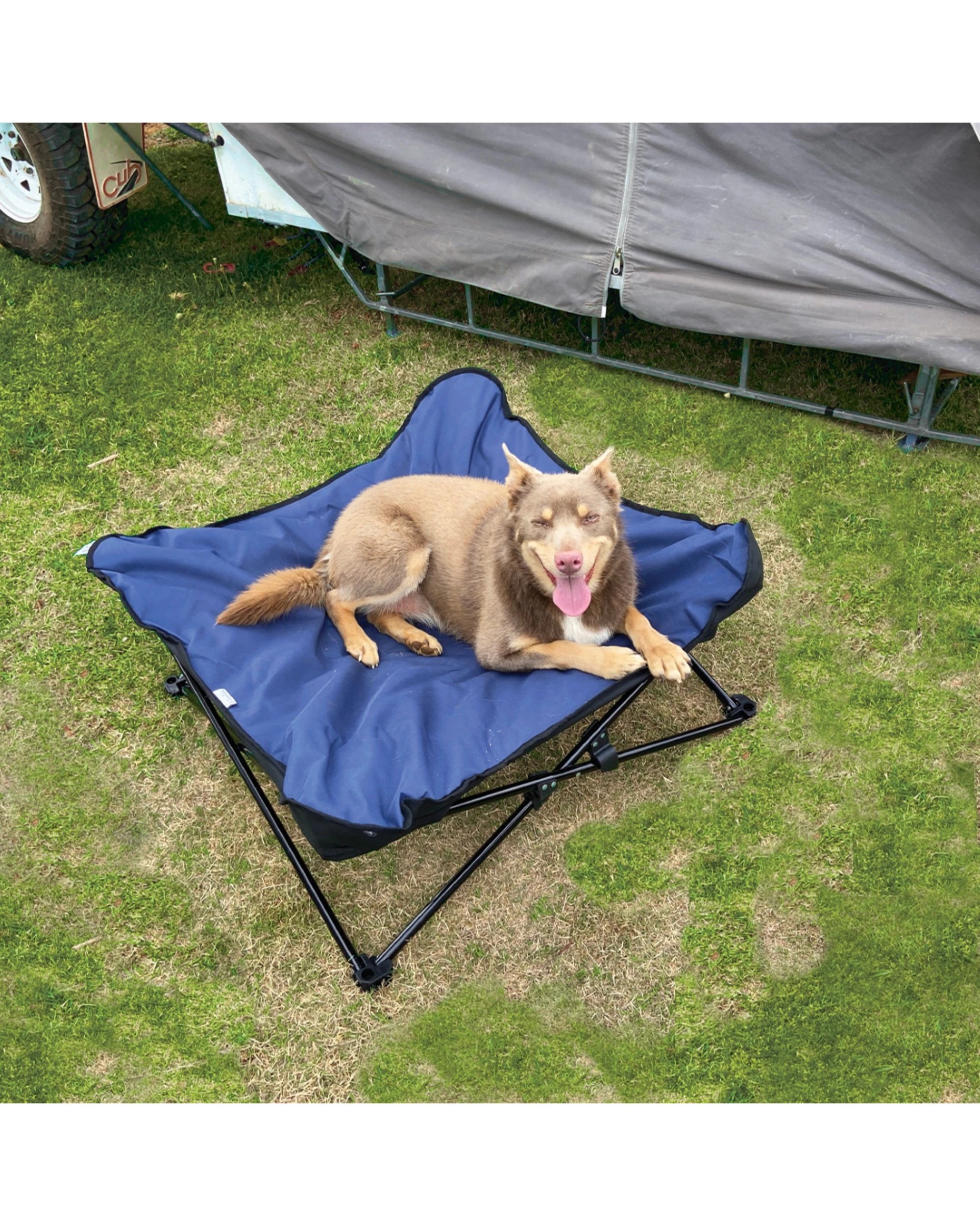 3 Charlie's Butterfly Foldable Outdoor Camping Dog Bed Medium - Blue, 3 of 9