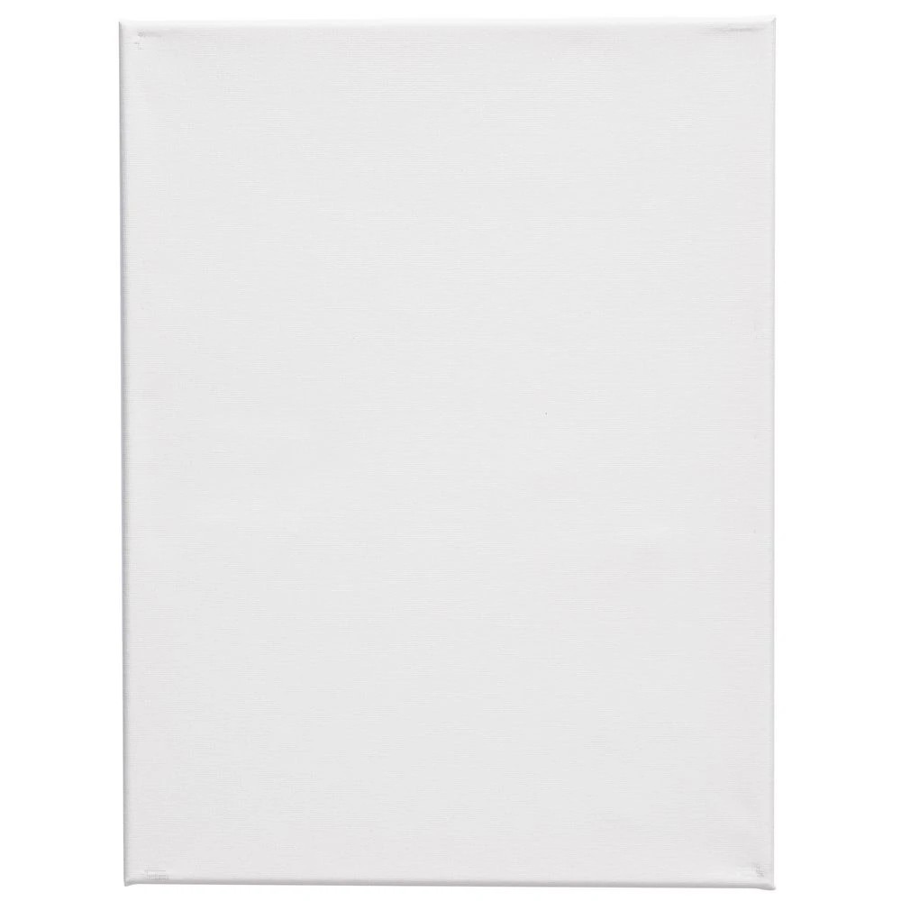 3 Keji Canvases 12X16" White 2 Pack, 3 of 5