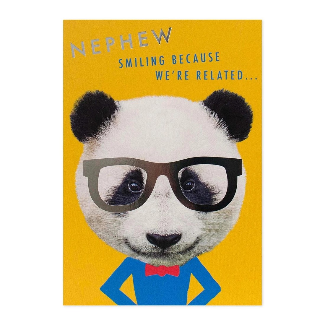 3 Connections from Hallmark Birthday Card for Nephew - Panda with Glasses, 3 of 3