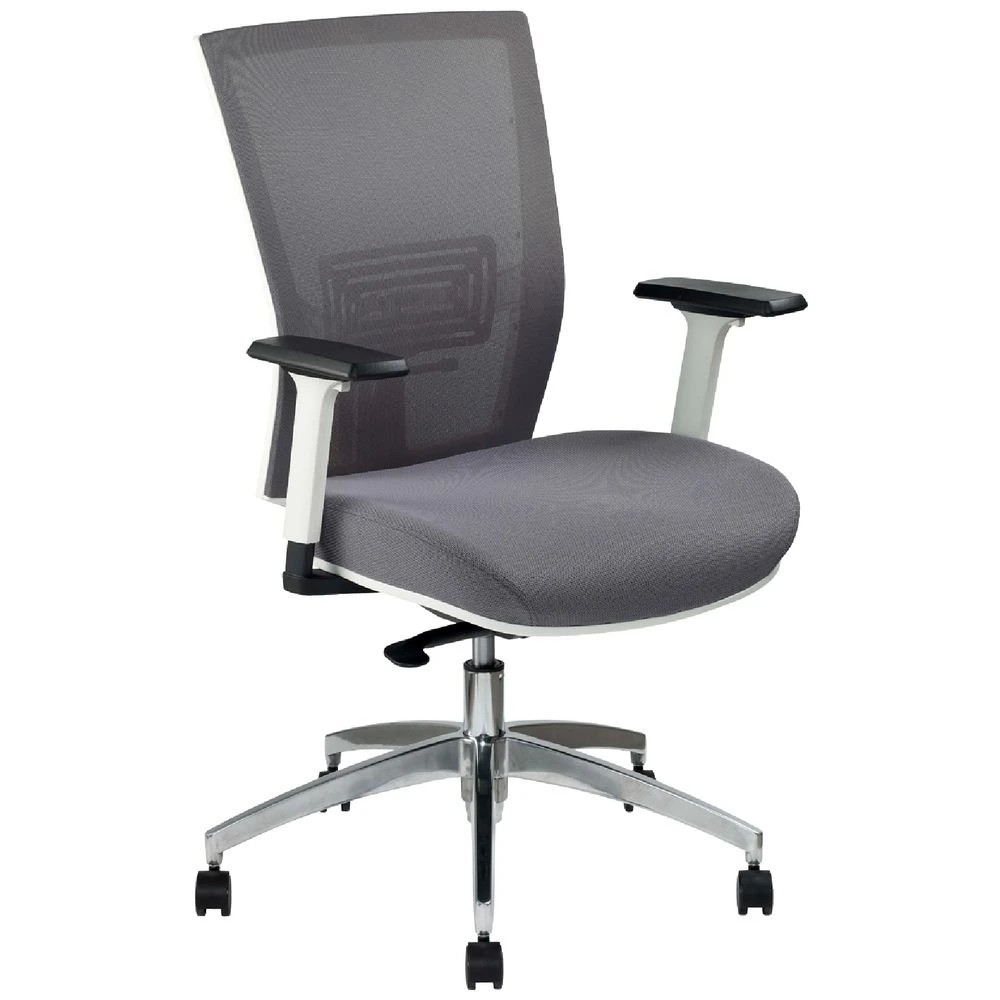 1 Pago Radar III Synchro Ergonomic Mesh Chair Ash Grey Ergonomic Chairs and Desk Chairs, 1 of 10