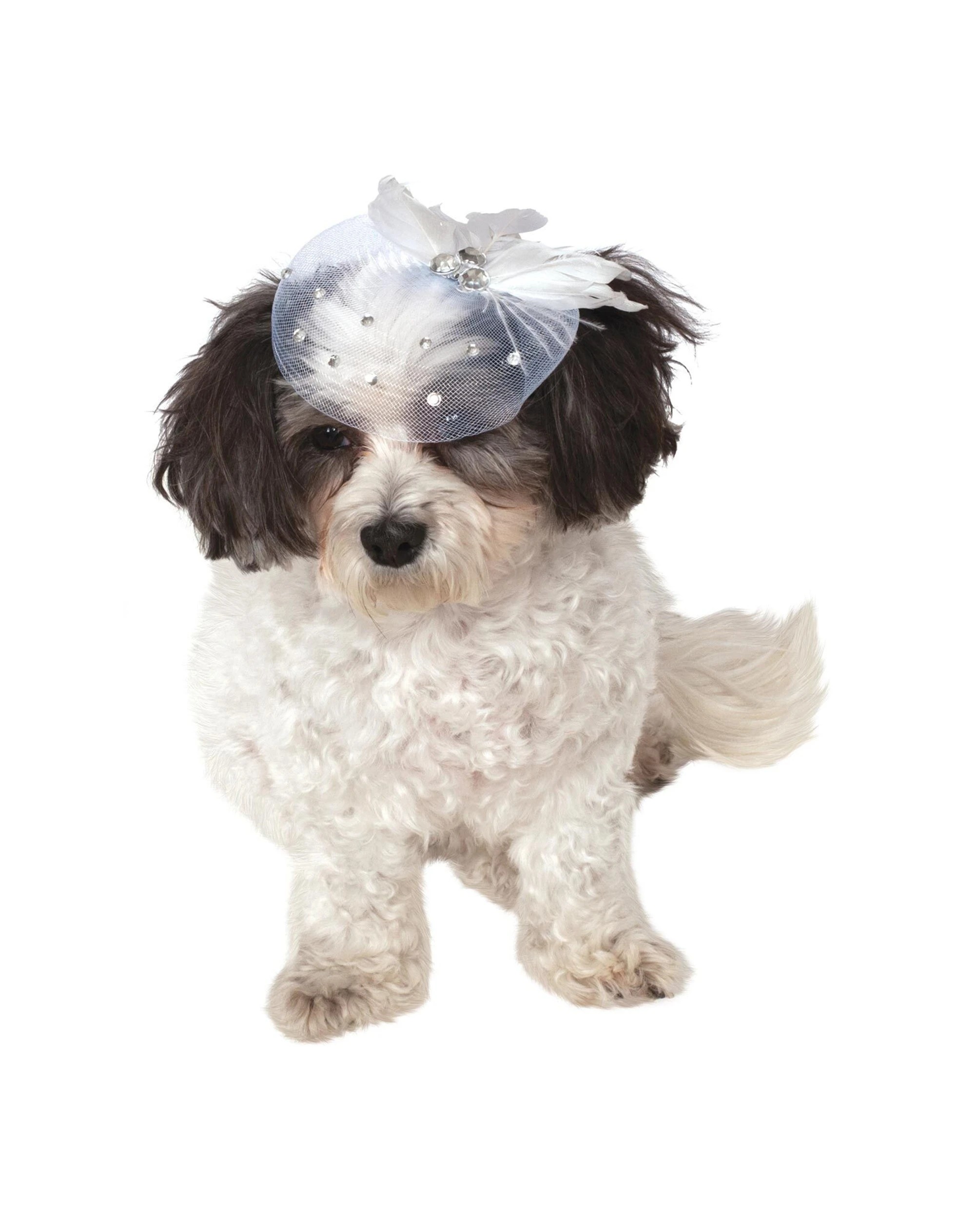 1 Rubies Fancy Formal Hat For Pet Dog Cat Size M L - White, 1 of 2