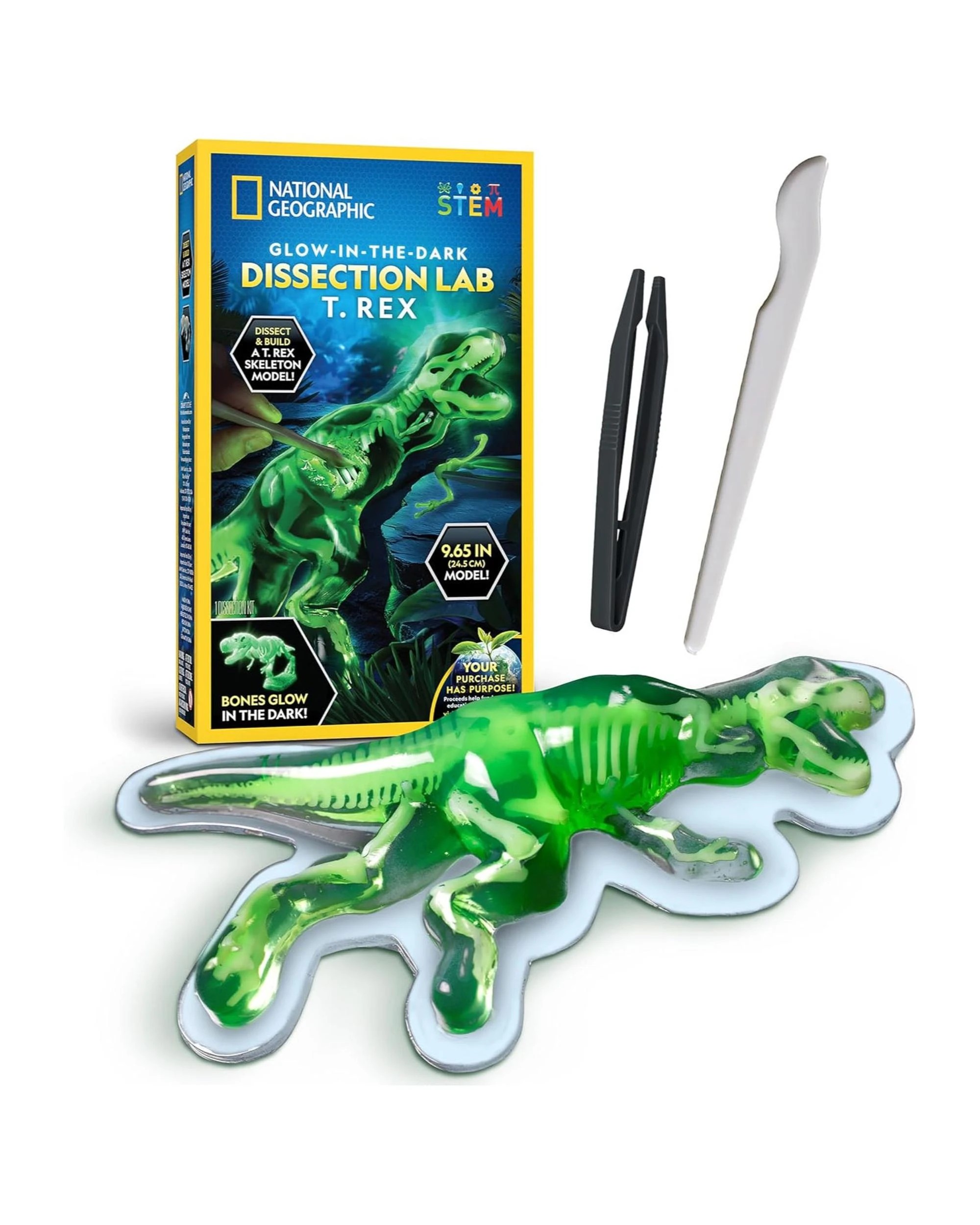 1 National Geographic Glow-in-the-Dark T.Rex Dissection Lab Kit, 1 of 2