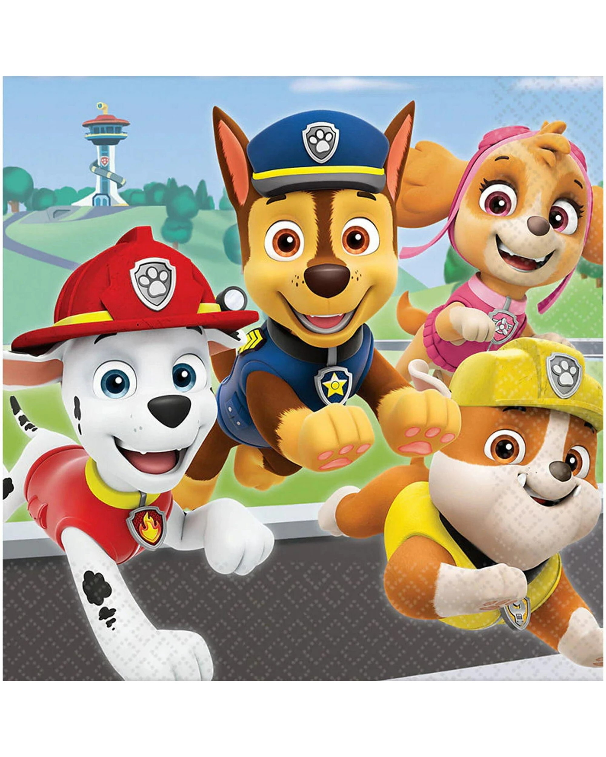 1 PAW Patrol Paw Patrol Adventures Large Napkins Serviettes Pack of 16, 1 of 1
