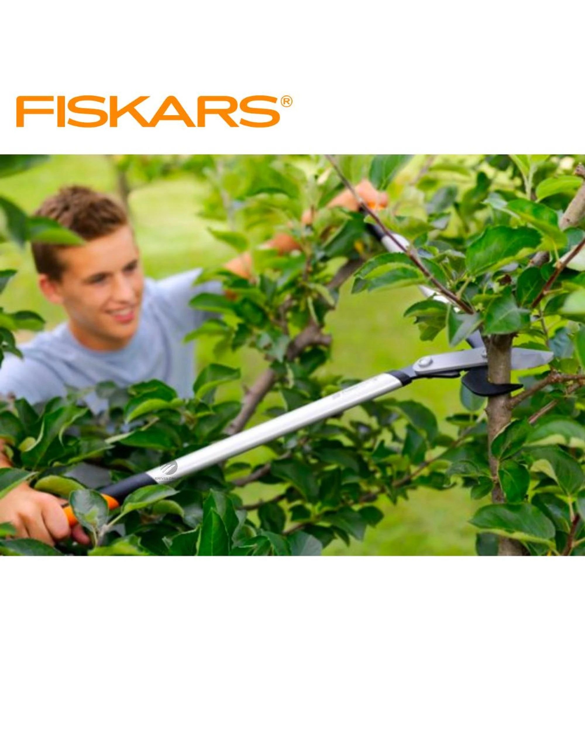 3 Fiskars PowerGear X LX98 Large Bypass Lopper Hook Head 810mm, 3 of 6